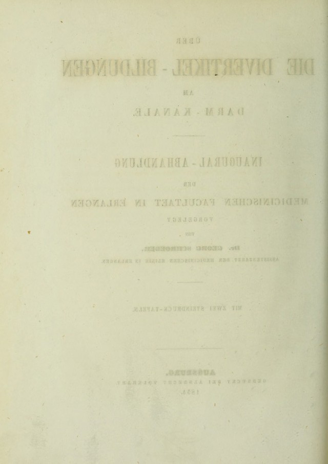 digitised image 2