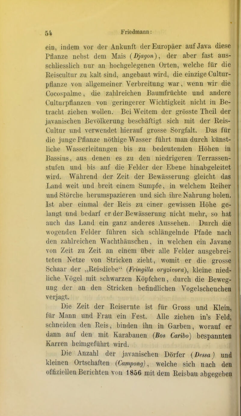 ein, indem vor der Ankunft der Europäer auf Java diese Pflanze nebst dem Mais {Djagon), der aber fast aus- schliesslich nur an hochgelegenen Orten, welche für die Reiscultur zu kalt sind, angebaut wird, die einzige Cultur- pflanze von allgemeiner Verbreitung war, wenn wir die Cocospalme, die zahlreichen Baumfrüchte und andere Culturpflanzen von geringerer Wichtigkeit nicht in Be- tracht ziehen wollen. Bei Weitem der grösste Theil der javanischen Bevölkerung beschäftigt sich mit der Reis- Cultur und verwendet hierauf grosse Sorgfalt. Das für die junge Pflanze nöthige Wasser führt man durch künst- liche Wasserleitungen bis zu bedeutenden Höhen in Bassins, aus denen es zu den niedrigeren Terrassen- stufen und bis auf die Felder der Ebene hinabgeleitet wird. Während der Zeit der Bewässerung gleicht das Land weit und breit einem Sumpfe, in welchem Reiher und Störche herumspazieren und sich ihre Nahrung holen. Ist aber einmal der Reis zu einer gewissen Höhe ge- langt und bedarf er der Bewässerung nicht mehr, so hat '< auch das Land ein ganz anderes Aussehen. Durch die ; wogenden Felder führen sich schlängelnde Pfade nach den zahlreichen Wachthäuscheu, in welchen ein Javane von Zeit zu Zeit an einem über alle Felder ausgebrei- | teten Netze von Stricken zieht, womit er die grosse Schaar der „Reisdiebe (FringUla oryzicora)^ kleine nied- liche Vögel mit schwarzen Köpfchen, durch die Beweg- ung der au den Stricken befindlichen Vogelscheuchen verjagt. Die Zeit der Reisernte ist für Gross und Klein, für Mann und Frau ein Fest. Alle ziehen in's Feld, schneiden den Reis, binden ihn in Garben, worauf er dann auf den mit Karabauen (Bos Caribo) bespannten Karren heimgeführt wird. Die Anzahl der javanischen Dörfer (Dessa) und kleinen Ortschaften (Campong) ^ welche sich nach den offiziellen Berichten von 1856 mit dem Reisbau abgegeben