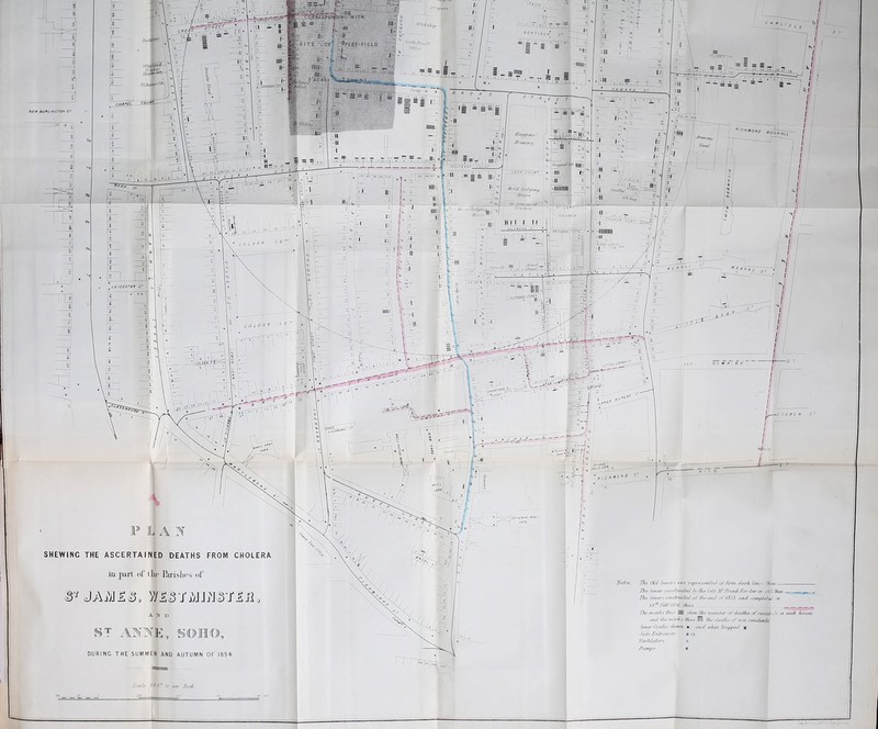 P IJ A N SHEWINC THE ASCERTAINED DEATHS FROM CHOLERA in part of (lie Parishes of and ST ANNE, SOHO, DURING THE SUMMER AND AUTUMN OF I854-. fin*/* My'1 /c an inch. '■ ^ ■— A- rrr- — ’V --- ■ The Old Sams are Teprvsrnl'd i// firm t/nrk h/nThu* The -Snir/'rt’iinhurff// />\ ///■ l/ile M'T/vmh Fortier tn t.'iHl that _ The Sme/w rnudniclet/ n! Ihe me/ iff 165$ and eompl/detl iM ld'!‘ Fax? ISM', thus IJiC’ murks l/tu* S slum Ihe tiiUfdjtr nffSkuHts of r&lfel/n Is tn curb house, and die /narks llui* m U/e drn/h.s of nun /e.tideal#. Se/ter O/e/h* d/e/t'/i m anti it/tivi l/uppr/l 1 ■Side finIra/tre* ■ se / ‘ra/l/u/ors x fun///* •