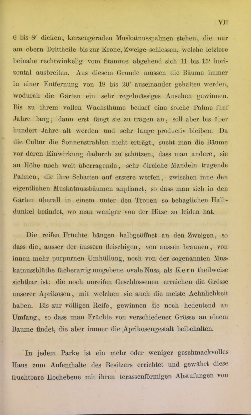 6 bis 8' dicken, kerzengeraden Muskatnusspalmen stehen, die nur \ am Obern Drittheile bis zur Krone, Zweige scliiessen, welche letztere beinahe rechtwinkelig vom Stamme abgehend sich 11 bis 15' hori- zontal ausbreiten. Aus diesem Grunde müssen die Bäume immer in einer Entfernung von 18 bis 20' auseinander gehalten werden, wodurch die Gärten ein sehr regelmässiges Ansehen gewinnen. Bis zu ihrem vollen Wachsthume bedarf eine solche Palme fünf Jahre lang; dann erst fängt sie zu tragen an, soll aber bis über hundert Jahre alt werden und sehr lange productiv bleiben. Da die Cultur die Sonnenstmlüen nicht erträgt, sucht man die Bäume vor deren Einwirkung dadurch zü schützen, dass man andere, sie an Höhe noch weit überragende, sehr ölreiche Mandeln tragende Palmen, die ihre Schatten auf erstere werfen, zwischen inne den eigentlichen Muskatnussbäumen anpflanzt, so dass man sich in den Gärten überall in einem unter den Tropen so behaglichen Halb- dunkel befindet, wo man weniger von der Hitze zu leiden hat. Die reifen Früchte hängen halbgeöffnet an den Zweigen, so dass die, ausser der äussern fleischigen, von aussen braunen, von innen mehr purpurnen Umhüllung, noch von der sogenannten Mus- katnussblüthe fächerartig umgebene ovale Nuss, als Kern theilweise sichtbar ist: die noch unreifen Geschlossenen erreichen die Grösse unserer Aprikosen, mit welchen sie auch die meiste Aehulichkeit I haben. Bis zur völligen Reife, gewinnen sie noch hedeutend an Umfang, so dass man Früchte von verschiedener Grösse an einem Baume findet, die aber immer die Aprikosengestalt beibehalten. In jedem Parke ist ein mehr oder weniger geschmackvolles Haus zum Aufenthalte des Besitzers errichtet und gewährt diese I fruchtbare Hochebene mit ihren terassenförmigen Abstufungen von