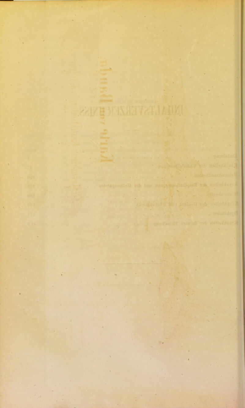 1} -*v» I :<r •. r J .*9 -. ’j ? • 4 1 ^  ■ • i ' t'»*-. . h . * • • Jmtii-- • *■ * X ■9ar'-' ’äi; .? - N V *• *• ■