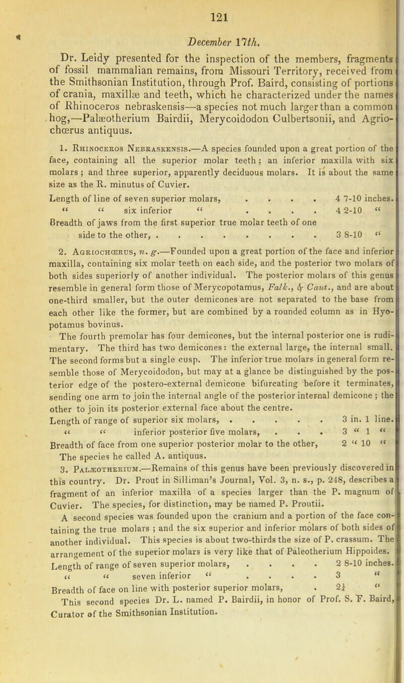 December nth. Dr. Leidy presented for the inspection of the members, fragments of fossil mammalian remains, from Missouri Territory, received from the Smithsonian Institution, through Prof. Baird, consisting of portions of crania, maxillae and teeth, which he characterized under the names of Rhinoceros nebraskensis—a species not much largerthan a common hog,—Palaeotherium Bairdii, Merycoidodon Culbertsonii, and Agrio- chcerus antiquus. 1. Rhinoceros Nebeaskensis.—A species founded upon a great portion of the face, containing all the superior molar teeth; an inferior maxilla with six molars ; and three superior, apparently deciduous molars. It is about the same size as the R. minutus of Cuvier. Length of line of seven superior molars, .... 4 7-10 inches.   six inferior  .... 4 2-10  Breadth of jaws from the first superior true molar teeth of one side to the other, 3 8-10  2. Agriochcerus, n. g.—Founded upon a great portion of the face and inferior maxilla, containing six molar teeth on each side, and the posterior two molars of both sides superiorly of another individual. The posterior molars of this genus resemble in general form those of Merycopotamus, Talk., 4- Caut., and are about one-third smaller, but the outer demicones are not separated to the base from each other like the former, but are combined by a rounded column as in Hyo- potamus bovinus. The fourth premolar has four demicones, but the internal posterior one is rudi- mentary. The third has two demicones: the external large, the internal small. The second forms but a single cusp. The inferior true molars in general form re- semble those of Merycoidodon, but may at a glance be distinguished by the pos- terior edge of the postero-external demicone bifurcating before it terminates, sending one arm to join the internal angle of the posterior internal demicone ; the other to join its posterior external face about the centre. Length of range of superior six molars, . . . . . 3 in. 1 line. <«  inferior posterior five molars, . . . 3  1  Breadth of face from one superior posterior molar to the other, 2  10  The species he called A. antiquus. 3. Pal;eotherium.—Remains of this genus have been previously discovered in this country. Dr. Prout in Silliman's Journal, Vol. 3, n. s., p. 248, describes a fragment of an inferior maxilla of a species larger than the P. magnum of Cuvier. The species, for distinction, may be named P. Proutii. A second species was founded upon the cranium and a portion of the face con- taining the true molars ; and the six superior and inferior molars of both sides of another individual. This species is about two-thirds the size of P. crassum. The arrangement of the superior molars is very like that of Paleotherium Hippoides. Length of range of seven superior molars, . . . . 2 8-10 inches. cc <c seven inferior  .... 3  Breadth of face on line with posterior superior molars, . 2i  This second species Dr. L. named P. Bairdii, in honor of Prof. S. F. Baird; Curator of the Smithsonian Institution. t