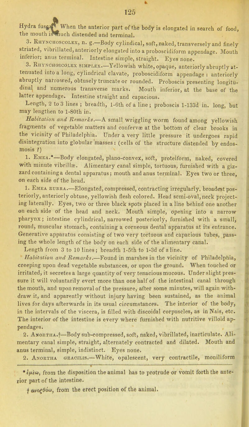 Hydra fusjiij'When the anterior part of the body is elongated in search of food, the mouth iMiuch distended and terminal. 3. RiiYNCHoscoLEx, n. g.—Body cylindical, soft, naked, transversely and finely striated, vibrillated, anteriorly elongated into a proboscidiform appendage. Mouth inferior; anus terminal. Intestine simple, straight. Eyes none. 3. Rhynchoscolex simplex—Yellowish white, opaque, anteriorly abruptly at- tenuated into a long, cylindrical clavate, proboscidiform appendage : anteriorly abruptly narrowed, obtusely truncate or rounded. Proboscis presenting longitu- dmal and numerous transverse marks. Mouth inferior, at the base of the latter appendage. Intestine straight and capacious. Length, 2 to 3 lines ; breadth, l-6th of a line; proboscis l-133d in. long, but may lengthen to l-80th in. Habitation and Remarks.—A small wriggling worm found among yellowish fragments of vegetable matters and confervae at the bottom of clear brooks in the vicinity of Philadelphia. Under a very little pressure it undergoes rapid disintegration into globular masses: (cells of the structure distended by endos- mosis ?) 1. Emea.*—Body elongated, plano-convex, soft, proteiform, naked, covered with minute vibrillae. Alimentary canal simple, tortuous, furnished with a giz- zard containinga dental apparatus; mouth and anus terminal. Eyes two or three, on each side of the head. 1. Emea eubra.—Elongated, compressed, contracting irregularly, broadest pos- teriorly, anteriorly obtuse, yellowish flesh colored. Head semi-oval, neck project- ing laterally. Eyes, two or three black spots placed in a line behind one another on each side of the head and neck. Mouth simple, opening into a narrow pharynx; intestine cylindrical, narrowed posteriorly, furnished with a small, round, muscular stomach, containing a corneous dental apparatus at its entrance. Generative apparatus consisting of two very tortuous and capacious tubes, pass- ing the whole length of the body on each side of the alimentary canal. Length from 3 to 10 lines; breadth l-5th to l-3d of aline. Habitation and Remarks.—Found in marshes in the vicinity of Philadelphia, creeping upon dead vegetable substances, or upon the ground. When touched or irritated, it secretes a large quantity of very tenacious mucous. Under slight pres- sure it will voluntarily evert more than one half of the intestinal canal through the mouth, and upon removal of the pressure, after some minutes, will again with- draw it, and apparently without injury having been sustained, as the animal lives for days afterwards in its usual circumstances. The interior of the body, in the intervals of the viscera, is filled with discoidal corpuscles, as in Nais, etc. The interior of the intestine is every where furnished with nutritive villoid ap- pendages. 2. ANORTHA.f—Body sub-compressed, soft, naked, vibrillated, inarticulate. Ali- mentary canal simple, straight, alternately contracted and dilated. Mouth and anus terminal, simple, indistinct. Eyes none. 2. Anortha gracilis.—White, opalescent, very contractile, moniliform ■ —r •tjUfw, from the disposition the animal has to protrude or vomit forth the ante- rior part of the intestine. f avo^Oou, from the erect position of the animal.