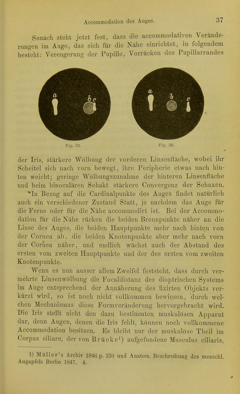 Sonach steht jetzt fest, dass die accommodativen Verände- rungen im Auge, das sich für die Nähe einrichtet, in folgendem besteht: Verengerung der Pupille, Vorrücken des Pupillarrandes Fig. 20. FiK- 30. der Iris, stärkere Wölbung der vorderen Linsenfläche, wobei ihr Scheitel sich nach vorn bewegt, ihre Peripherie etwas nach hin- ten weicht; geringe Wölbungszunahme der hinteren Linsenfläche und beim binoculäreu Sehakt stärkere Convergenz der Sehaxen. ^Li Bezug auf die Cardinalpunkte des Auges findet natürlich auch ein verschiedener Zustand Statt, je nachdem das Auge für die Ferne oder für die Nähe accommodirt ist. Bei der Acconimo- dation für die Nähe rücken die beiden Brennpunkte näher an die Linse des Auges, die beiden Hauptpunkte mehr nach hinten von der Cornea ab, die beiden Knotenpunkte aber mehr nach vorn der Cornea näher, und endlich wächst auch der Abstand des ersten vom zweiten Hauptpunkte und der des ersten vom zweiten Knotenpunkte. Wenn es nun ausser allem Zweifel feststeht, dass durch ver- mehrte Linsenwölbung die Focaldistanz des dioptrischen Systems im Auge entsprechend der Annäherung des fixirten Objekts ver- kürzt wird, so ist noch nicht vollkommen bewiesen, durch wel- chen Mechanismus diese Pormveränderung hervorgebracht wird. Die Iris stellt nicht den dazu bestimmten muskulösen Apparat dar, denn Augen, denen die Iris fehlt, können noch vollkommene Acconimodation besitzen. Es bleibt nur der muskulöse Theil im Corpus ciliare, der von Brücke') aufgefundene Musculus ciliaris, 1) Müller's Archiv 1846 p. 370 und Anatom. Beschreibung des menschl. Augapfels Berlin 1847. 4.