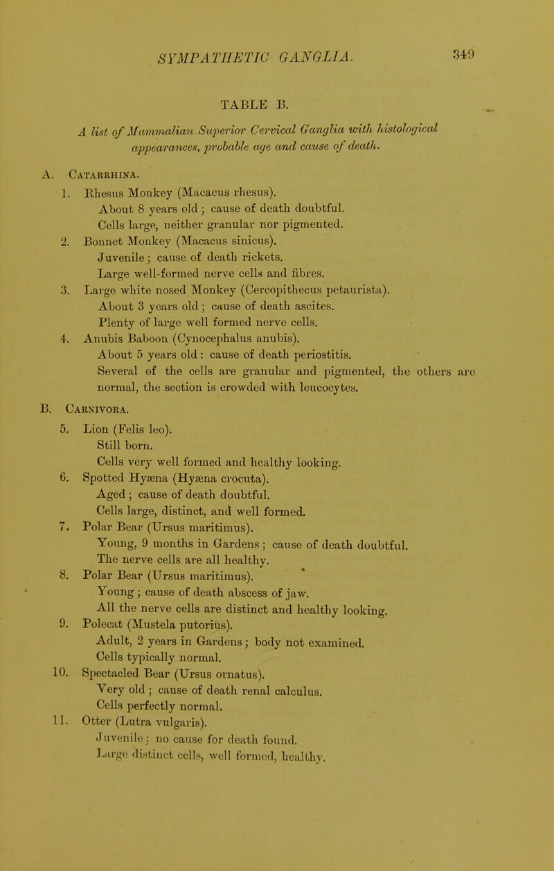 TABLE B. A list of Mammalian Superior Cervical Ganglia with histological appearances, 2^rohable age and cause of death. A. Catarrhina. 1. Rhesus Monkey (Macacus rhesus). About 8 years old; cause of death doubtful. Cells large, neither granular nor pigmented. 2. Bonnet Monkey (Macacus sinicus). Juvenile; cause of death rickets. Large well-formed nerve cells and fibres. 3. Large white nosed Monkey (Cercopithecus petaurista). About 3 years old; cause of death ascites. Plenty of large well formed nerve cells. 4. Anubis Baboon (Cynocephalus anubis). About 5 years old : cause of death periostitis. Several of the cells are granular and pigmented, the others are normal, the section is crowded with leucocytes. B. Carnivora. 5. Lion (Felis leo). Still born. Cells very well formed and healthy looking. 6. Spotted Hyaena (Hyaena crocuta). Aged; cause of death doubtful. Cells large, distinct, and well formed. 7. Polar Bear (Ursus maritimus). Young, 9 months in Gardens; cause of death doubtful. The nerve cells are all healthy. 8. Polar Bear (Ursus maritimus). Young ; cause of death abscess of jaw. All the nerve cells are distinct and healthy looking. 9. Polecat (Mustela putorius). Adult, 2 years in Gardens; body not examined. Cells typically normal. 10. Spectacled Bear (Ursus ornatus). Very old ; cause of death renal calculus. Cells perfectly normal. 11. Otter (Lutra vulgaris). Juvenile; no cause for death found. Large dintiuct celln, well formed, healthy.