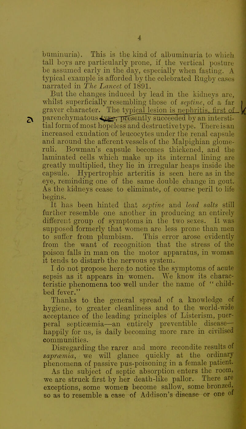 -1 buminuria). This is the kind of albuminuria to which tall boys are particularly prone, if the vertical posture- be assumed early in the day, especially when fasting. A typical example is afforded by the celebrated Rugby cases narrated in The Lancet of 1891. But the changes induced by lead in the kidneys are, whilst superficially resembling those of septine, of a far graver character. The typical lesion is nephritis, first of 2\ parenchymatous4j££erpTese^tly succeeded by an int<-rsti- tial form of most hopeless and destructive type. There is an increased exudation of leucocytes under the renal capsule and around the afferent vessels of the Malpighian glome- ruli. Bowman's capsule becomes thickened, and the laminated cells which make up its internal lining are greatly multiplied, they lie in irregular heaps inside the capsule. Hypertrophic arteritis is seen here as in the eye, reminding one of the same double change in gout. As the kidneys cease to eliminate, of course peril to life begins. It has been hinted that septine and lead salts still further resemble one another in producing an entirely different group of symptoms in the two sexes. It was supposed formerly that women are less prone than men to suffer from plumbism. This error arose evidently from the want of recognition that the stress of the poison falls in man on the motor apparatus, in woman it tends to disturb the nervous system. I do not propose here to notice the symptoms of acute sepsis as it appears in women. We know its charac- teristic phenomena too well under the name of  child- bed fever. Thanks to the general spread of a knowledge of hygiene, to greater cleanliness and to the world-wide acceptance of the leading principles of Listerism, puer- peral septicaemia—an entirely preventible disease— happily for us, is daily becoming more rare in civilised communities. Disregarding the rarer and more recondite results of saprcemia, we will glance quickly at the ordinary phenomena of passive pus-poisoning in a female patient. As the subject of septic absorption enters the room, we are struck first by her death-like pallor. There are exceptions, some women become sallow, some bronzed, so as to resemble a case of Addison's disease or one of