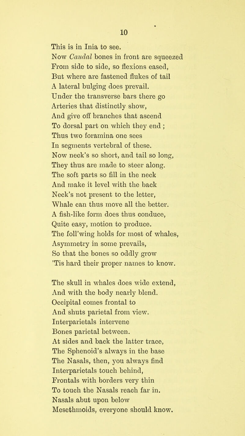 This is in Inia to see. Now Caudal bones in front are squeezed From side to side, so flexions eased, But where are fastened flukes of tail A lateral bulging does prevail. Under the transverse bars there go Arteries that distinctly show, And give off branches that ascend To dorsal part on which they end; Thus two foramina one sees In segments vertebral of these. Now neck’s so short, and tail so long, They thus are made to steer along. The soft parts so fill in the neck And make it level with the back Neck’s not present to the letter, Whale can thus move all the better. A fish-like form does thus conduce, Quite easy, motion to produce. The foll’wing holds for most of whales, Asymmetry in some prevails, So that the bones so oddly grow ’Tis hard their proper names to know. The skull in whales does wide extend, And with the body nearly blend. Occipital comes frontal to And shuts parietal from view. Interparietals intervene Bones parietal between. At sides and back the latter trace, The Sphenoid’s always in the base The Nasals, then, you always find Interparietals touch behind, Frontals with borders very thin To touch the Nasals reach far in. Nasals abut upon below Mesethmoids, everyone should know.