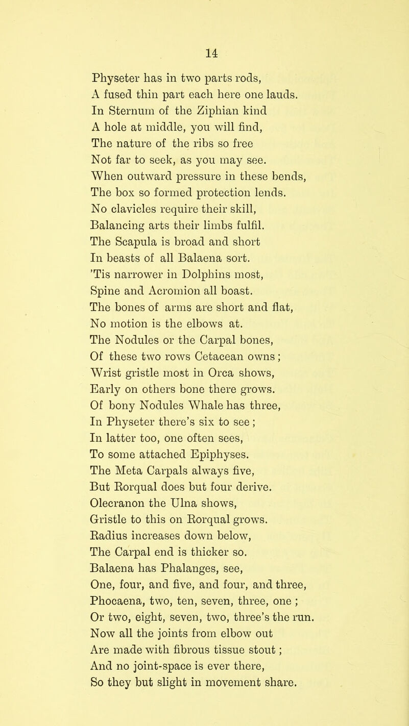 Physeter has in two parts rods, A fused thin part each here one lauds. In Sternum of the Ziphian kind A hole at middle, you will find, The nature of the ribs so free Not far to seek, as you may see. When outward pressure in these bends, The box so formed protection lends. No clavicles require their skill, Balancing arts their limbs fulfil. The Scapula is broad and short In beasts of all Balaena sort. ’Tis narrower in Dolphins most, Spine and Acromion all boast. The bones of arms are short and flat, No motion is the elbows at. The Nodules or the Carpal bones, Of these two rows Cetacean owns; Wrist gristle most in Orca shows, Early on others bone there grows. Of bony Nodules Whale has three, In Physeter there’s six to see; In latter too, one often sees, To some attached Epiphyses. The Meta Carpals always five, But Rorqual does but four derive. Olecranon the Ulna shows, Gristle to this on Rorqual grows. Radius increases down below, The Carpal end is thicker so. Balaena has Phalanges, see, One, four, and five, and four, and three, Phocaena, two, ten, seven, three, one; Or two, eight, seven, two, three’s the run. Now all the joints from elbow out Are made with fibrous tissue stout; And no joint-space is ever there, So they but slight in movement share.