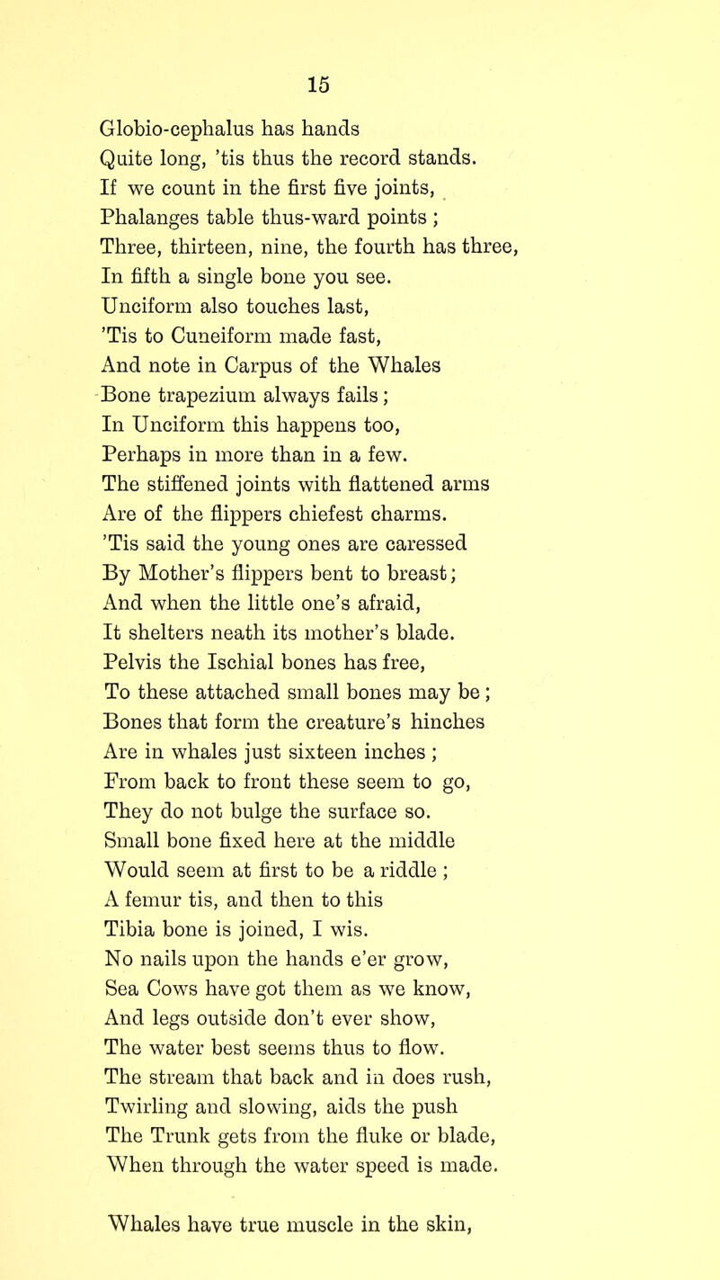 Globio-cephalus has hands Quite long, ’tis thus the record stands. If we count in the first five joints, Phalanges table thus-ward points ; Three, thirteen, nine, the fourth has three, In fifth a single bone you see. Unciform also touches last, ’Tis to Cuneiform made fast, And note in Carpus of the Whales Bone trapezium always fails; In Unciform this happens too, Perhaps in more than in a few. The stiffened joints with flattened arms Are of the flippers chiefest charms. ’Tis said the young ones are caressed By Mother’s flippers bent to breast; And when the little one’s afraid, It shelters neath its mother’s blade. Pelvis the Ischial bones has free, To these attached small bones may be; Bones that form the creature’s hinches Are in whales just sixteen inches ; From back to front these seem to go, They do not bulge the surface so. Small bone fixed here at the middle Would seem at first to be a riddle ; A femur tis, and then to this Tibia bone is joined, I wis. No nails upon the hands e’er grow, Sea Cows have got them as we know, And legs outside don’t ever show, The water best seems thus to flow. The stream that back and in does rush, Twirling and slowing, aids the push The Trunk gets from the fluke or blade, When through the water speed is made. Whales have true muscle in the skin,