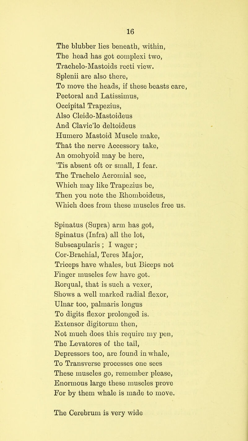The blubber lies beneath, within, The head has got complexi two, Trachelo-Mastoids recti view. Splenii are also there, To move the heads, if these beasts care, Pectoral and Latissirnus, Occipital Trapezius, Also Cleido-Mastoideus And Clavic’lo deltoideus Humero Mastoid Muscle make, That the nerve Accessory take, An omohyoid may be here, ’Tis absent oft or small, I fear. The Trachelo Acromial see, Which may like Trapezius be, Then you note the Rhomboideus, Which does from these muscles free us. Spinatus (Supra) arm has got, Spinatus (Infra) all the lot, Subscapularis ; I wager; Cor-Brachial, Teres Major, Triceps have whales, but Biceps not Finger muscles few have got. Rorqual, that is such a vexer, Shows a well marked radial flexor, Ulnar too, palmaris longus To digits flexor prolonged is. Extensor digitorum then, Not much does this require my pen, The Levatores of the tail, Depressors too, are found in whale, To Transverse processes one sees These muscles go, remember please, Enormous large these muscles prove For by them whale is made to move. The Cerebrum is very wide