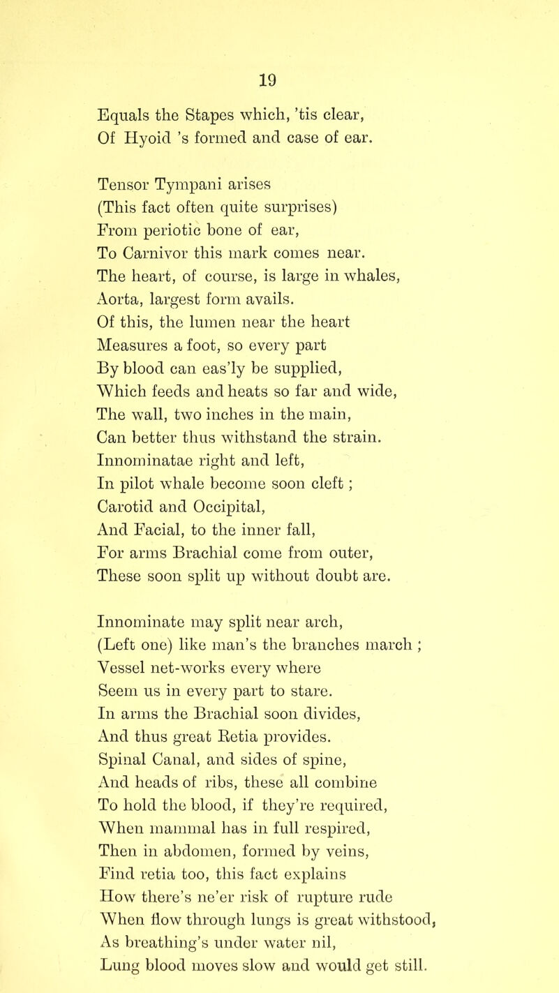Equals the Stapes which, ’tis clear, Of Hyoid ’s formed and case of ear. Tensor Tympani arises (This fact often quite surprises) From periotic bone of ear, To Carnivor this mark comes near. The heart, of course, is large in whales, Aorta, largest form avails. Of this, the lumen near the heart Measures a foot, so every part By blood can eas’ly be supplied, Which feeds and heats so far and wide, The wall, two inches in the main, Can better thus withstand the strain. Innominatae right and left, In pilot whale become soon cleft; Carotid and Occipital, And Facial, to the inner fall, For arms Brachial come from outer, These soon split up without doubt are. Innominate may split near arch, (Left one) like man’s the branches march ; Vessel net-works every where Seem us in every part to stare. In arms the Brachial soon divides, And thus great Betia provides. Spinal Canal, and sides of spine, And heads of ribs, these all combine To hold the blood, if they’re required, When mammal has in full respired, Then in abdomen, formed by veins, Find retia too, this fact explains How there’s ne’er risk of rupture rude When flow through lungs is great withstood, As breathing’s under water nil, Lung blood moves slow and would get still.