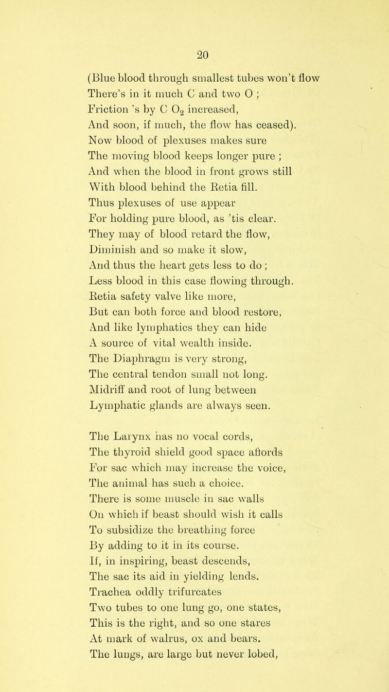 (Blue blood through smallest tubes won’t flow There’s in it much C and two 0 ; Friction’s by C 02 increased, And soon, if much, the flow has ceased). Now blood of plexuses makes sure The moving blood keeps longer pure ; And when the blood in front grows still With blood behind the Betia fill. Thus plexuses of use appear For holding pure blood, as ’tis clear. They may of blood retard the flow, Diminish and so make it slow, And thus the heart gets less to do ; Less blood in this case flowing through. Betia safety valve like more, But can both force and blood restore, And like lymphatics they can hide A source of vital wealth inside. The Diaphragm is very strong, The central tendon small not long. Midriff and root of lung between Lymphatic glands are always seen. The Larynx has no vocal cords, The thyroid shield good space afiords For sac which may increase the voice, The animal has such a choice. There is some muscle in sac walls On which if beast should wish it calls To subsidize the breathing force By adding to it in its course. If, in inspiring, beast descends, The sac its aid in yielding lends. Trachea oddly trifurcates Two tubes to one lung go, one states, This is the right, and so one stares At mark of walrus, ox and bears. The lungs, are large but never lobed,