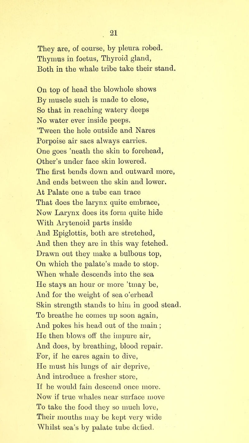 They are, of course, by pleura robed. Thymus in foetus, Thyroid gland, Both in the whale tribe take their stand. On top of head the blowhole shows By muscle such is made to close, So that in reaching watery deeps No water ever inside peeps. ’Tween the hole outside and Nares Porpoise air sacs always carries. One goes ’neath the skin to forehead, Other’s under face skin lowered. The first bends down and outward more, And ends between the skin and lower. At Palate one a tube can trace That does the larynx quite embrace, Now Larynx does its form quite hide With Arytenoid parts inside And Epiglottis, both are stretched, And then they are in this way fetched. Drawn out they make a bulbous top, On which the palate’s made to stop. When whale descends into the sea He stays an hour or more ’tinay be, And for the weight of sea o’erhead Skin strength stands to him in good stead. To breathe he comes up soon again, And pokes his head out of the main ; He then blows off the impure air, And does, by breathing, blood repair. For, if he cares again to dive, He must his lungs of air deprive, And introduce a fresher store, If he would fain descend once more. Now if true whales near surface move To take the food they so much love, Their mouths may be kept very wide Whilst sea’s by palate tube defied.