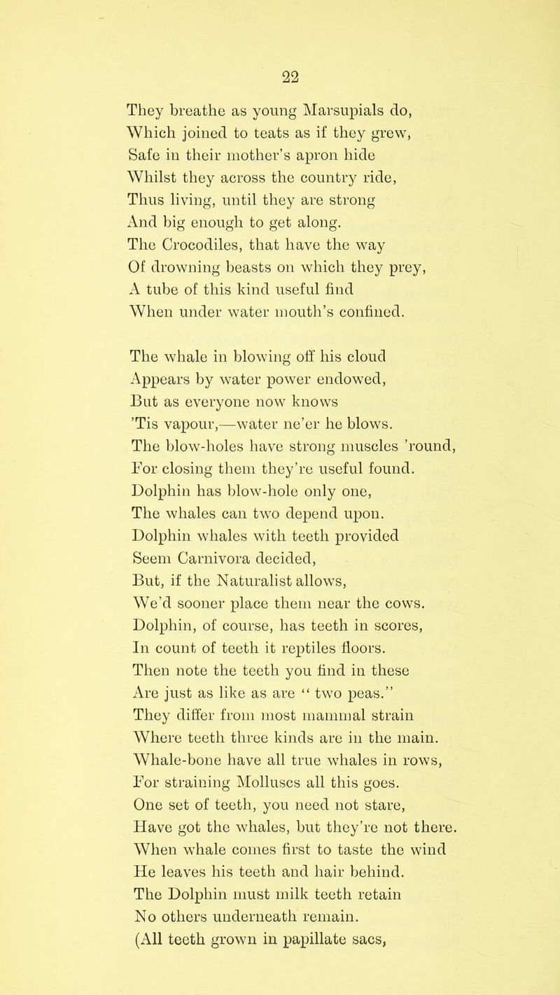 They breathe as young Marsupials do, Which joined to teats as if they grew, Safe in their mother’s apron hide Whilst they across the country ride, Thus living, until they are strong And big enough to get along. The Crocodiles, that have the way Of drowning beasts on which they prey, A tube of this kind useful find When under water mouth’s confined. The whale in blowing off his cloud Appears by water power endowed, But as everyone now knows ’Tis vapour,—water ne’er he blows. The blow-holes have strong muscles ’round, For closing them they’re useful found. Dolphin has blow-hole only one, The whales can two depend upon. Dolphin whales with teeth provided Seem Carnivora decided, But, if the Naturalist allows, We’d sooner place them near the cows. Dolphin, of course, has teeth in scores, In count of teeth it reptiles floors. Then note the teeth you find in these Are just as like as are “ two peas.” They differ from most mammal strain Where teeth three kinds are in the main. Whale-bone have all true whales in rows, For straining Molluscs all this goes. One set of teeth, you need not stare, Have got the whales, but they’re not there. When whale comes first to taste the wind He leaves his teeth and hair behind. The Dolphin must milk teeth retain No others underneath remain. (All teeth grown in papillate sacs,