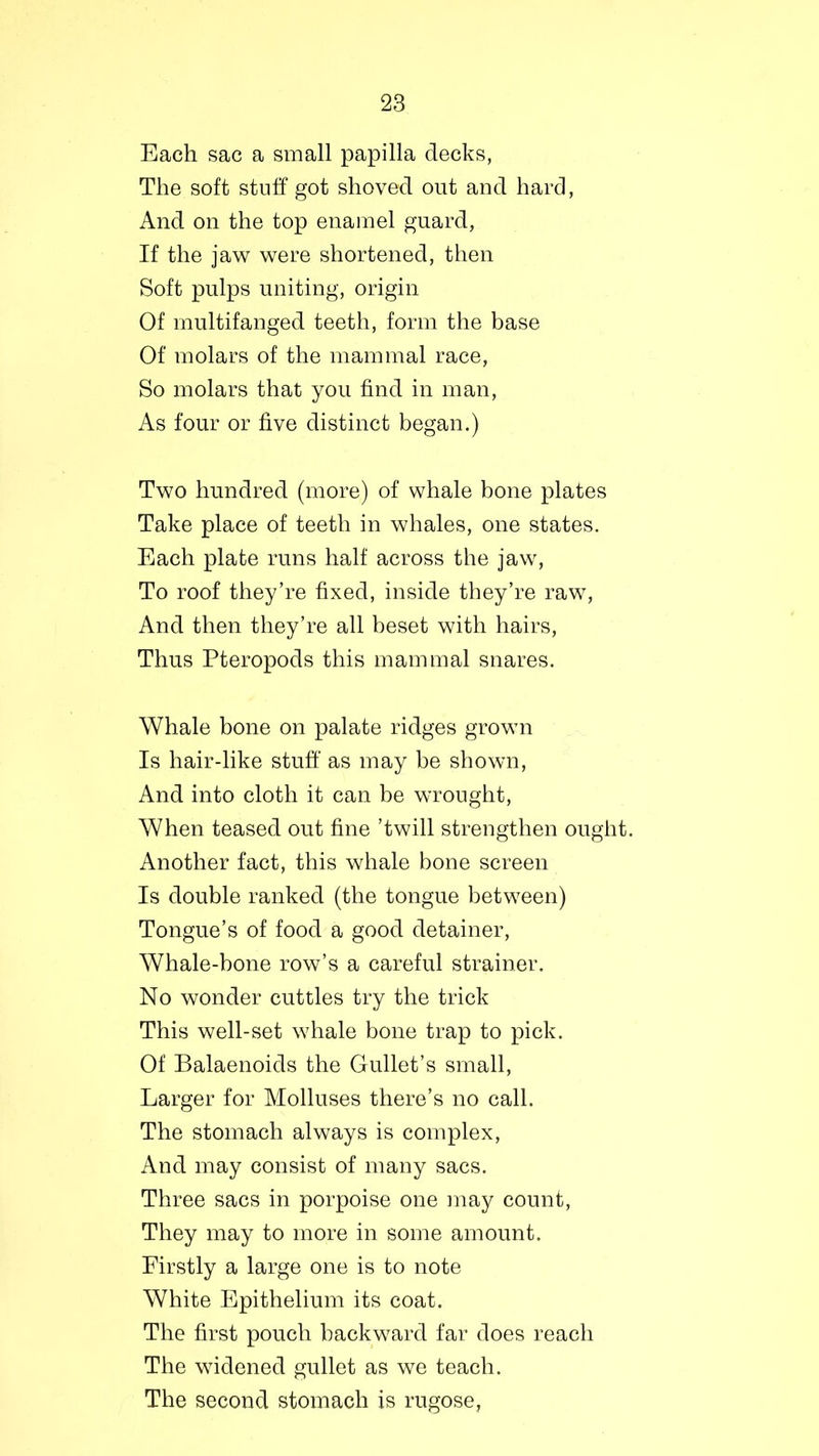Each sac a small papilla decks, The soft stuff got shoved out and hard, And on the top enamel guard, If the jaw were shortened, then Soft pulps uniting, origin Of multifanged teeth, form the base Of molars of the mammal race, So molars that you find in man, As four or five distinct began.) Two hundred (more) of whale bone plates Take place of teeth in whales, one states. Each plate runs half across the jaw, To roof they’re fixed, inside they’re raw, And then they’re all beset with hairs, Thus Pteropods this mammal snares. Whale bone on palate ridges grown Is hair-like stuff as may be shown, And into cloth it can be wrought, When teased out fine ’twill strengthen ought. Another fact, this whale bone screen Is double ranked (the tongue between) Tongue’s of food a good detainer, Whale-bone row’s a careful strainer. No wonder cuttles try the trick This well-set whale bone trap to pick. Of Balaenoids the Gullet’s small, Larger for Molluses there’s no call. The stomach always is complex, And may consist of many sacs. Three sacs in porpoise one may count, They may to more in some amount. Firstly a large one is to note White Epithelium its coat. The first pouch backward far does reach The widened gullet as we teach. The second stomach is rugose,