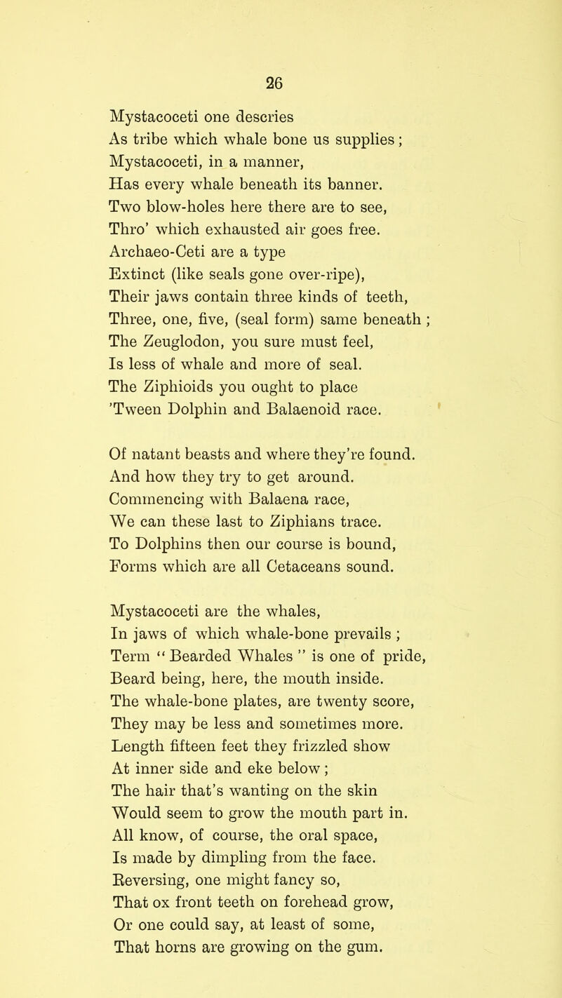 Mystacoceti one descries As tribe which whale bone us supplies; Mystacoceti, in a manner, Has every whale beneath its banner. Two blow-holes here there are to see, Thro’ which exhausted air goes free. Archaeo-Ceti are a type Extinct (like seals gone over-ripe), Their jaws contain three kinds of teeth, Three, one, five, (seal form) same beneath; The Zeuglodon, you sure must feel, Is less of whale and more of seal. The Ziphioids you ought to place ’Tween Dolphin and Balaenoid race. Of natant beasts and where they’re found. And how they try to get around. Commencing with Balaena race, We can these last to Ziphians trace. To Dolphins then our course is bound, Forms which are all Cetaceans sound. Mystacoceti are the whales, In jaws of which whale-bone prevails ; Term “Bearded Whales ” is one of pride, Beard being, here, the mouth inside. The whale-bone plates, are twenty score, They may be less and sometimes more. Length fifteen feet they frizzled show At inner side and eke below; The hair that’s wanting on the skin Would seem to grow the mouth part in. All know, of course, the oral space, Is made by dimpling from the face. Reversing, one might fancy so, That ox front teeth on forehead grow, Or one could say, at least of some, That horns are growing on the gum.