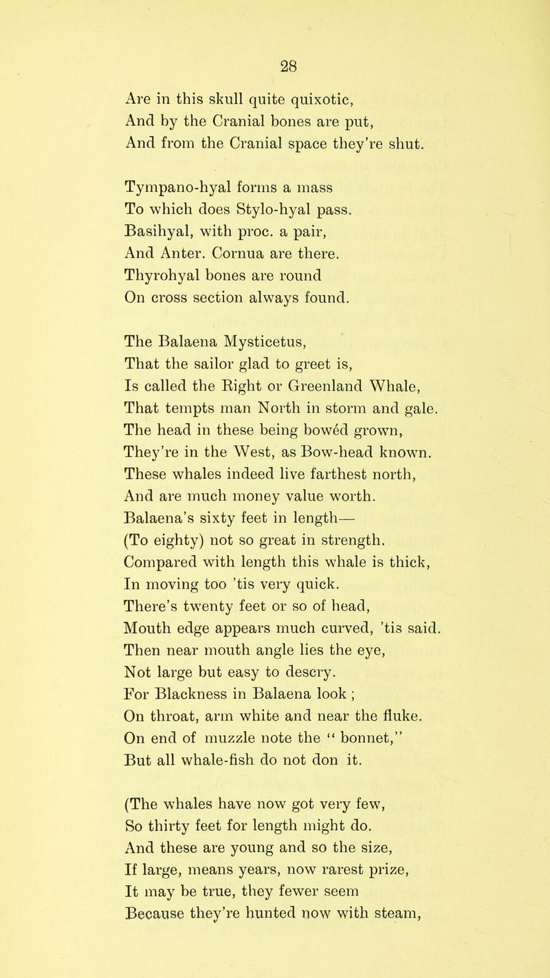 Are in this skull quite quixotic, And by the Cranial bones are put, And from the Cranial space they’re shut. Tympano-hyal forms a mass To which does Stylo-hyal pass. Basihyal, with proc. a pair, And Anter. Cornua are there. Thyrohyal bones are round On cross section always found. The Balaena Mysticetus, That the sailor glad to greet is, Is called the Right or Greenland Whale, That tempts man North in storm and gale. The head in these being bowed grown, They’re in the West, as Bow-head known. These whales indeed live farthest north, And are much money value worth. Balaena’s sixty feet in length— (To eighty) not so great in strength. Compared with length this whale is thick, In moving too ’tis very quick. There’s tw7enty feet or so of head, Mouth edge appears much curved, ’tis said. Then near mouth angle lies the eye, Not large but easy to descry. For Blackness in Balaena look ; On throat, arm white and near the fluke. On end of muzzle note the “ bonnet,” But all whale-fish do not don it. (The whales have now got very few, So thirty feet for length might do. And these are young and so the size, If large, means years, now rarest prize, It may be true, they fewer seem Because they’re hunted now with steam,