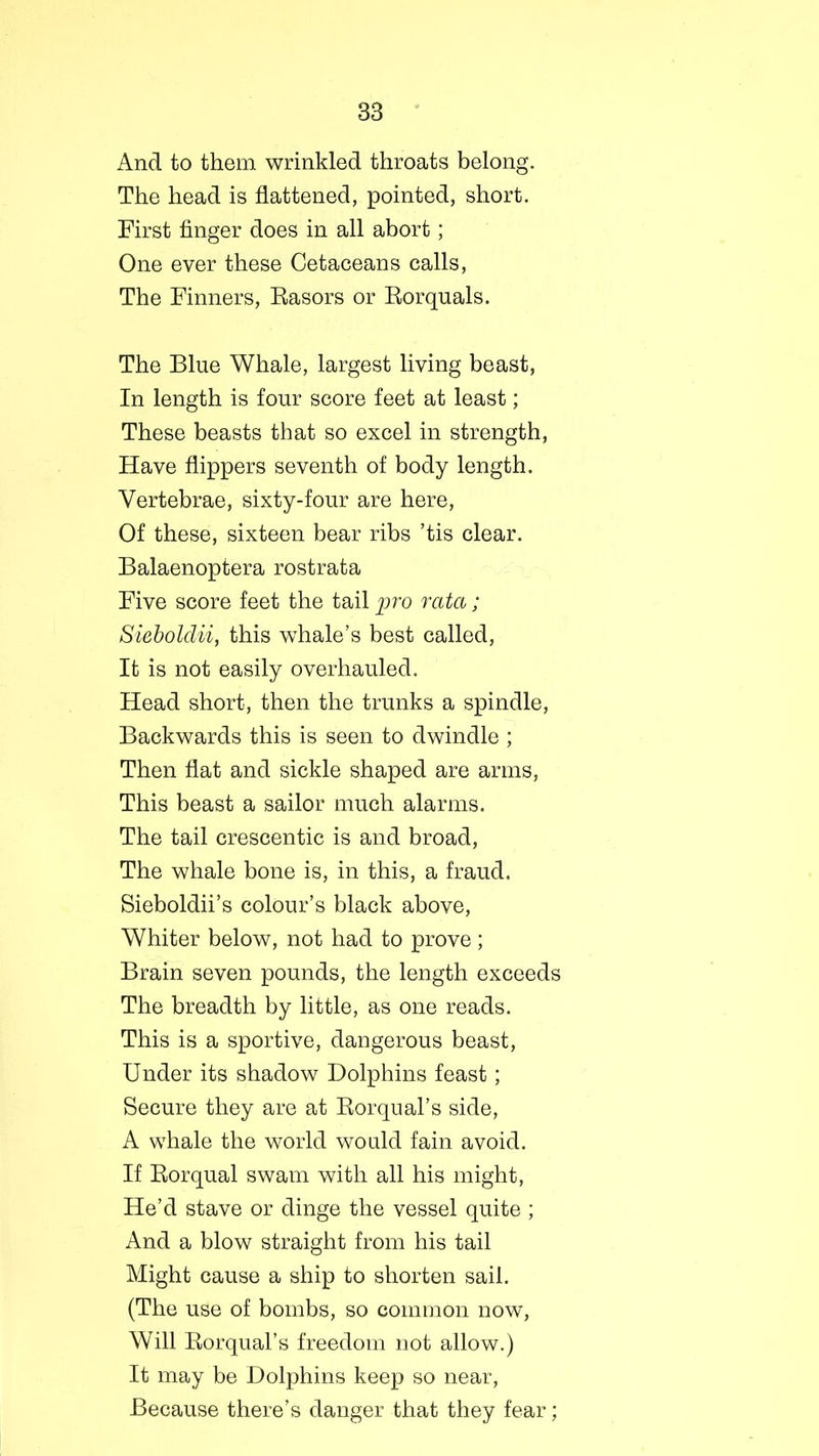 And to them wrinkled throats belong. The head is flattened, pointed, short. First finger does in all abort; One ever these Cetaceans calls, The Finners, Rasors or Rorquals. The Blue Whale, largest living beast, In length is four score feet at least; These beasts that so excel in strength, Have flippers seventh of body length. Vertebrae, sixty-four are here, Of these, sixteen bear ribs ’tis clear. Balaenoptera rostrata Five score feet the tail pro rata; Sieboldii, this whale’s best called, It is not easily overhauled. Head short, then the trunks a spindle, Backwards this is seen to dwindle ; Then flat and sickle shaped are arms, This beast a sailor much alarms. The tail crescentic is and broad, The whale bone is, in this, a fraud. Sieboldii’s colour’s black above, Whiter below, not had to prove; Brain seven pounds, the length exceeds The breadth by little, as one reads. This is a sportive, dangerous beast, Under its shadow Dolphins feast; Secure they are at Rorqual’s side, A whale the world would fain avoid. If Rorqual swam with all his might, He’d stave or dinge the vessel quite ; And a blow straight from his tail Might cause a ship to shorten sail. (The use of bombs, so common now, Will Rorqual’s freedom not allow.) It may be Dolphins keep so near, Because there’s danger that they fear;