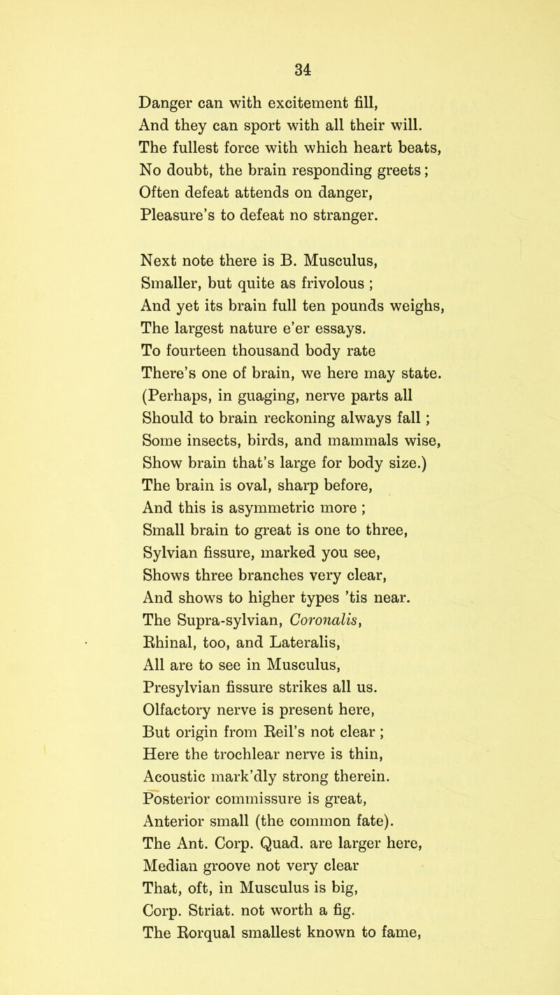 Danger can with excitement fill, And they can sport with all their will. The fullest force with which heart beats, No doubt, the brain responding greets; Often defeat attends on danger, Pleasure’s to defeat no stranger. Next note there is B. Musculus, Smaller, but quite as frivolous ; And yet its brain full ten pounds weighs, The largest nature e’er essays. To fourteen thousand body rate There’s one of brain, we here may state. (Perhaps, in guaging, nerve parts all Should to brain reckoning always fall; Some insects, birds, and mammals wise, Show brain that’s large for body size.) The brain is oval, sharp before, And this is asymmetric more ; Small brain to great is one to three, Sylvian fissure, marked you see, Shows three branches very clear, And shows to higher types ’tis near. The Supra-sylvian, Coronalis, Rhinal, too, and Lateralis, All are to see in Musculus, Presylvian fissure strikes all us. Olfactory nerve is present here, But origin from Reil’s not clear ; Here the trochlear nerve is thin, Acoustic mark’dly strong therein. Posterior commissure is great, Anterior small (the common fate). The Ant. Corp. Quad, are larger here, Median groove not very clear That, oft, in Musculus is big, Corp. Striat. not worth a fig. The Rorqual smallest known to fame,