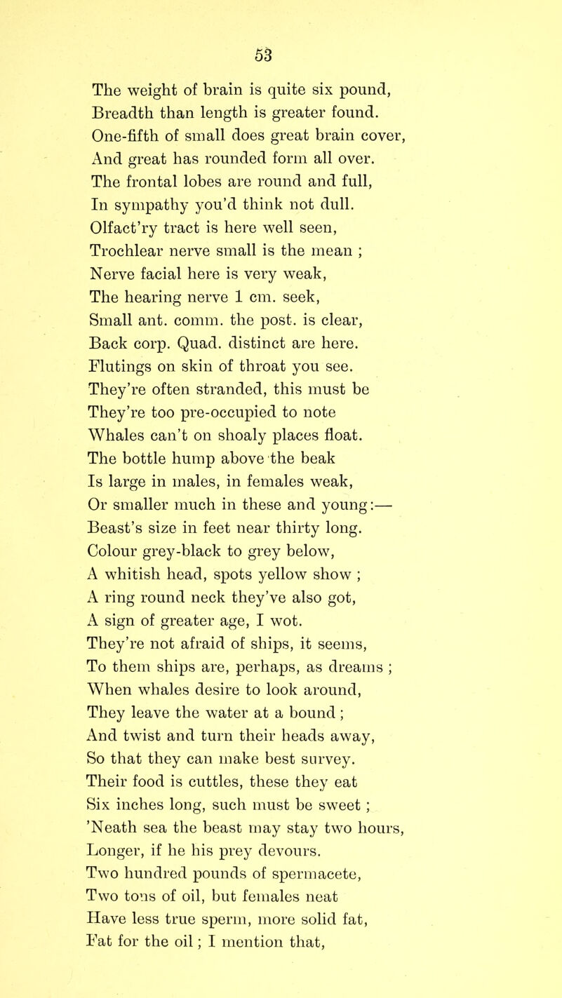 The weight of brain is quite six pound, Breadth than length is greater found. One-fifth of small does great brain coyer, And great has rounded form all over. The frontal lobes are round and full, In sympathy you’d think not dull. Olfact’ry tract is here well seen, Trochlear nerve small is the mean ; Nerve facial here is very weak, The hearing nerve 1 cm. seek, Small ant. comm, the post, is clear, Back corp. Quad, distinct are here. Flutings on skin of throat you see. They’re often stranded, this must be They’re too pre-occupied to note Whales can’t on shoaly places float. The bottle hump above the beak Is large in males, in females weak, Or smaller much in these and young:— Beast’s size in feet near thirty long. Colour grey-black to grey below, A whitish head, spots yellow show ; A ring round neck they’ve also got, A sign of greater age, I wot. They’re not afraid of ships, it seems, To them ships are, perhaps, as dreams ; When whales desire to look around, They leave the water at a bound; And twist and turn their heads away, So that they can make best survey. Their food is cuttles, these they eat Six inches long, such must be sweet ; ’Neath sea the beast may stay two hours, Longer, if he his prey devours. Two hundred pounds of spermacete, Two tons of oil, but females neat Have less true sperm, more solid fat, Fat for the oil; I mention that,