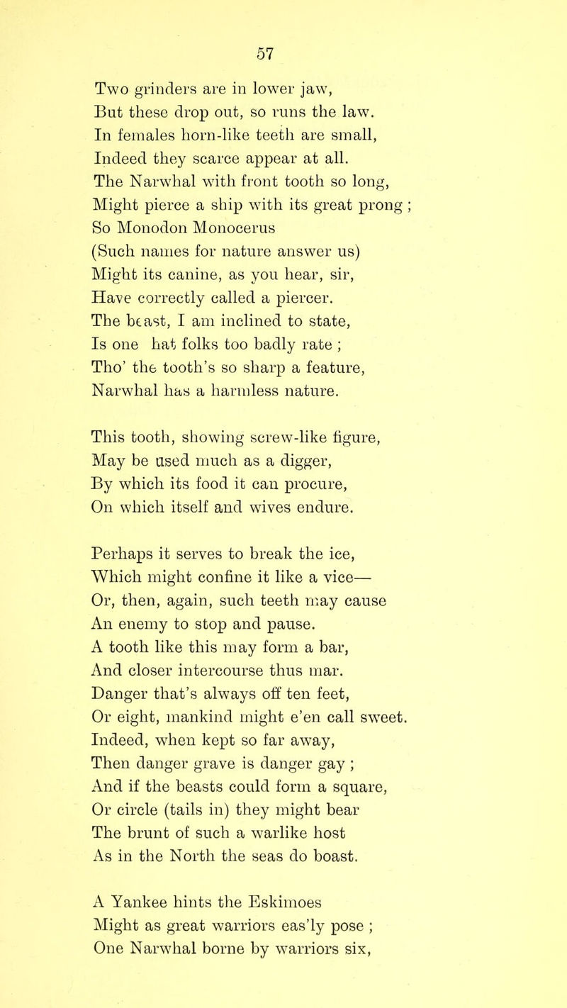 Two grinders are in lower jaw, But these drop out, so runs the law. In females horn-like teeth are small, Indeed they scarce appear at all. The Narwhal with front tooth so long, Might pierce a ship with its great prong So Monodon Monocerus (Such names for nature answer us) Might its canine, as you hear, sir, Have correctly called a piercer. The beast, I am inclined to state, Is one hat folks too badly rate ; Tho’ the tooth’s so sharp a feature, Narwhal has a harmless nature. This tooth, showing screw-like figure, May be used much as a digger, By which its food it can procure, On which itself and wives endure. Perhaps it serves to break the ice, Which might confine it like a vice— Or, then, again, such teeth may cause An enemy to stop and pause. A tooth like this may form a bar, And closer intercourse thus mar. Banger that’s always off ten feet, Or eight, mankind might e’en call sweet. Indeed, wThen kept so far away, Then danger grave is danger gay; And if the beasts could form a square, Or circle (tails in) they might bear The brunt of such a warlike host As in the North the seas do boast. A Yankee hints the Eskimoes Might as great warriors eas’ly pose ; One Narwhal borne by warriors six,