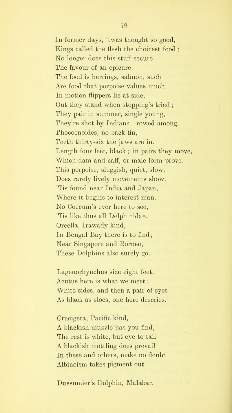 In former days, ’twas thought so good, Kings called the flesh the choicest food ; No longer does this stuff secure The favour of an epicure. The food is herrings, salmon, such Are food that porpoise values much. In motion flippers lie at side, Out they stand when stopping’s tried; They pair in summer, single young, They’re shot by Indians—rowed among. Phocoenoides, no back fin, Teeth thirty-six the jaws are in. Length four feet, black ; in pairs they move, Which dam and calf, or male form prove. This porpoise, sluggish, quiet, slow, Does rarely lively movements show. ’Tis found near India and Japan, Where it begins to interest man. No Coecum’s ever here to see, ’Tis like thus all Delphinidae. Orcella, Irawady kind, In Bengal Bay there is to find; Near Singapore and Borneo, These Dolphins also surely go. Lagenorhynchus size eight feet, Acutus here is what we meet; White sides, and then a pair of eyes As black as sloes, one here descries. Crucigera, Pacific kind, A blackish muzzle has you find, The rest is white, but eye to tail A blackish mottling does prevail In these and others, make no doubt Albinoism takes pigment out. Dussumier’s Dolphin, Malabar.