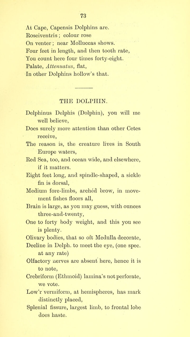 At Cape, Capensis Dolphins are. Roseiventris; colour rose On venter; near Molluccas shows. Four feet in length, and then tooth rate, You count here four times forty-eight. Palate, Attenuatus, flat, In other Dolphins hollow’s that. THE DOLPHIN. Delphinus Delphis (Dolphin), you will me well believe, Does surely more attention than other Cetes receive, The reason is, the creature lives in South Europe waters, Red Sea, too, and ocean wide, and elsewhere, if it matters. Eight feet long, and spindle-shaped, a sickle fin is dorsal, Medium fore-limbs, arched brow, in move- ment fishes floors all, Brain is large, as you may guess, with ounces three-and-twenty, One to forty body weight, and this you see is plenty. Olivary bodies, that so oft Medulla decorate, Decline in Delph. to meet the eye, (one spec, at any rate) Olfactory nerves are absent here, hence it is to note, Crebriform (Ethmoid) lamina’s not perforate, we vote. LowYvermiform, at hemispheres, has mark distinctly placed, Splenial fissure, largest limb, to frontal lobe does haste.