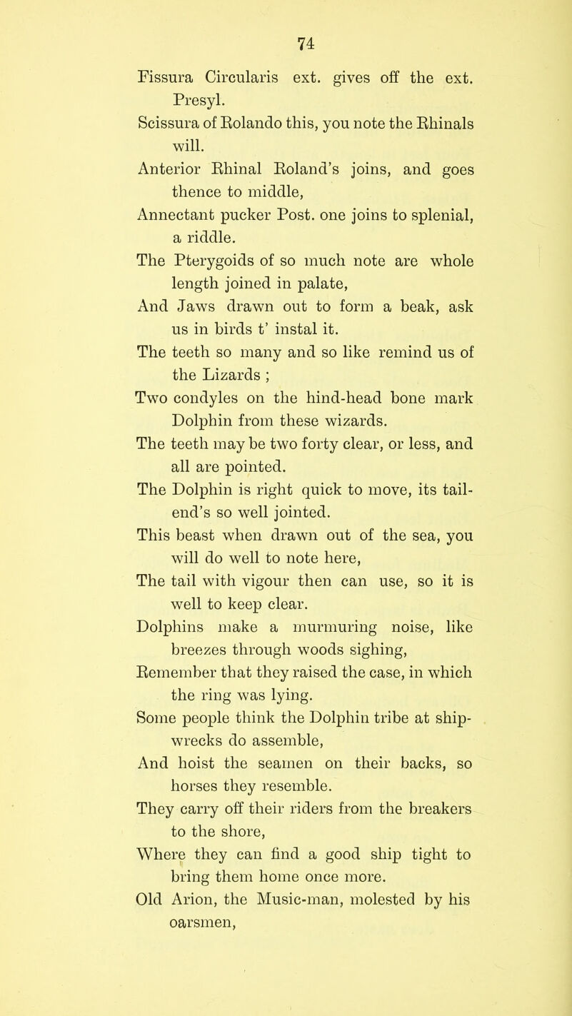 Fissura Circularis ext. gives off the ext. Presyl. Scissura of Rolando this, you note the Rhinals will. Anterior Rhinal Roland’s joins, and goes thence to middle, Annectant pucker Post, one joins to splenial, a riddle. The Pterygoids of so much note are whole length joined in palate, And Jaws drawn out to form a beak, ask us in birds t’ instal it. The teeth so many and so like remind us of the Lizards ; Two condyles on the hind-head bone mark Dolphin from these wizards. The teeth may be two forty clear, or less, and all are pointed. The Dolphin is right quick to move, its tail- end’s so well jointed. This beast when drawn out of the sea, you will do well to note here, The tail with vigour then can use, so it is well to keep clear. Dolphins make a murmuring noise, like breezes through woods sighing, Remember that they raised the case, in which the ring was lying. Some people think the Dolphin tribe at ship- wrecks do assemble, And hoist the seamen on their backs, so horses they resemble. They carry off their riders from the breakers to the shore, Where they can find a good ship tight to bring them home once more. Old Arion, the Music-man, molested by his oarsmen,