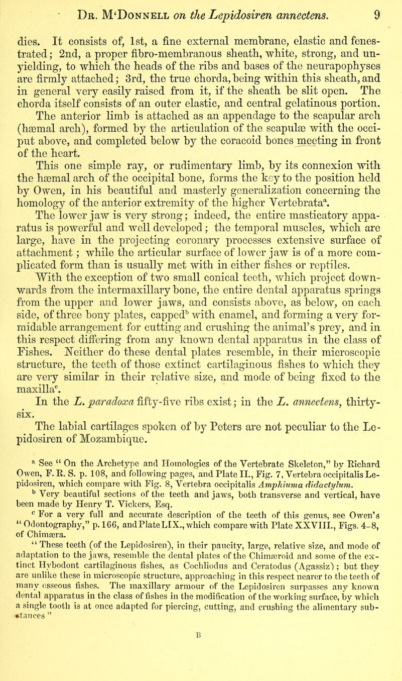 dies. It consists of, 1st, a fine external membrane, elastic and fenes- trated ; 2nd, a proper fibro-membranous sheath, white, strong, and un- yielding, to which the heads of the ribs and bases of the nenrapophyses are firmly attached; 3rd, the true chorda,being within this sheath,and in general very easily raised from it, if the sheath be slit open. The chorda itself consists of an outer elastic, and central gelatinous portion. The anterior limb is attached as an appendage to the scapular arch (haemal arch), formed by the articulation of the scapulae with the occi- put above, and completed below by the coracoid bones meeting in front of the heart. This one simple ray, or rudimentary limb, by its connexion with the haemal arch of the occipital bone, forms the key to the position held by Owen, in his beautiful and masterly generalization concerning the homology of the anterior extremity of the higher Yertebrataa. The lower jaw is very strong; indeed, the entire masticatory appa- ratus is powerful and well developed ; the temporal muscles, which are large, have in the projecting coronary processes extensive surface of attachment; while the articular surface of lower jaw is of a more com- plicated form than is usually met with in either fishes or reptiles. With the exception of two small conical teeth, which project down- wards from the intermaxillary bone, the entire dental apparatus springs from the upper and lower jaws, and consists above, as below, on each side, of three bony plates, cappedb with enamel, and forming a very for- midable arrangement for cutting and crushing the animal’s prey, and in this respect differing from any known dental apparatus in the class of Eishes. Neither do these dental plates resemble, in their microscopic structure, the teeth of those extinct cartilaginous fishes to which they are very similar in their relative size, and mode of being fixed to the maxilla0. In the L. pa/radoxa fifty-five ribs exist; in the L. annectens, thirty- six. The labial cartilages spoken of by Peters are not peculiar to the Le- pidosiren of Mozambique. a See “ On the Archetype and Homologies of the Vertebrate Skeleton,” by Richard Owen, F. R. S. p. 108, and following pages, and Plate II., Fig. 7, Vertebra occipitalis Le- pidosiren, which compare with Fig. 8, Vertebra occipitalis Amphiuma didactylum. b Very beautiful sections of the teeth and jaws, both transverse and vertical, have been made by Henry T. Vickers, Esq. c For a very full and accurate description of the teeth of this genus, see Owen’s “ Odontography,” p. 166, and Plate LIX., which compare with Plate XXVIII., Figs. 4-8, of Chimaera. “ These teeth (of the Lepidosiren), in their paucity, large, relative size, and mode of adaptation to the jaws, resemble the dental plates of the ChimaBroid and some of the ex- tinct Hybodont cartilaginous fishes, as Cochliodus and Ceratodus (Agassiz'); but they are unlike these in microscopic structure, approaching in this respect nearer to the teeth of many osseous fishes. The maxillary armour of the Lepidosiren surpasses any known dental apparatus in the class of fishes in the modification of the working surface, by which a single tooth is at once adapted for piercing, cutting, and crushing the alimentary sub- stances ” B