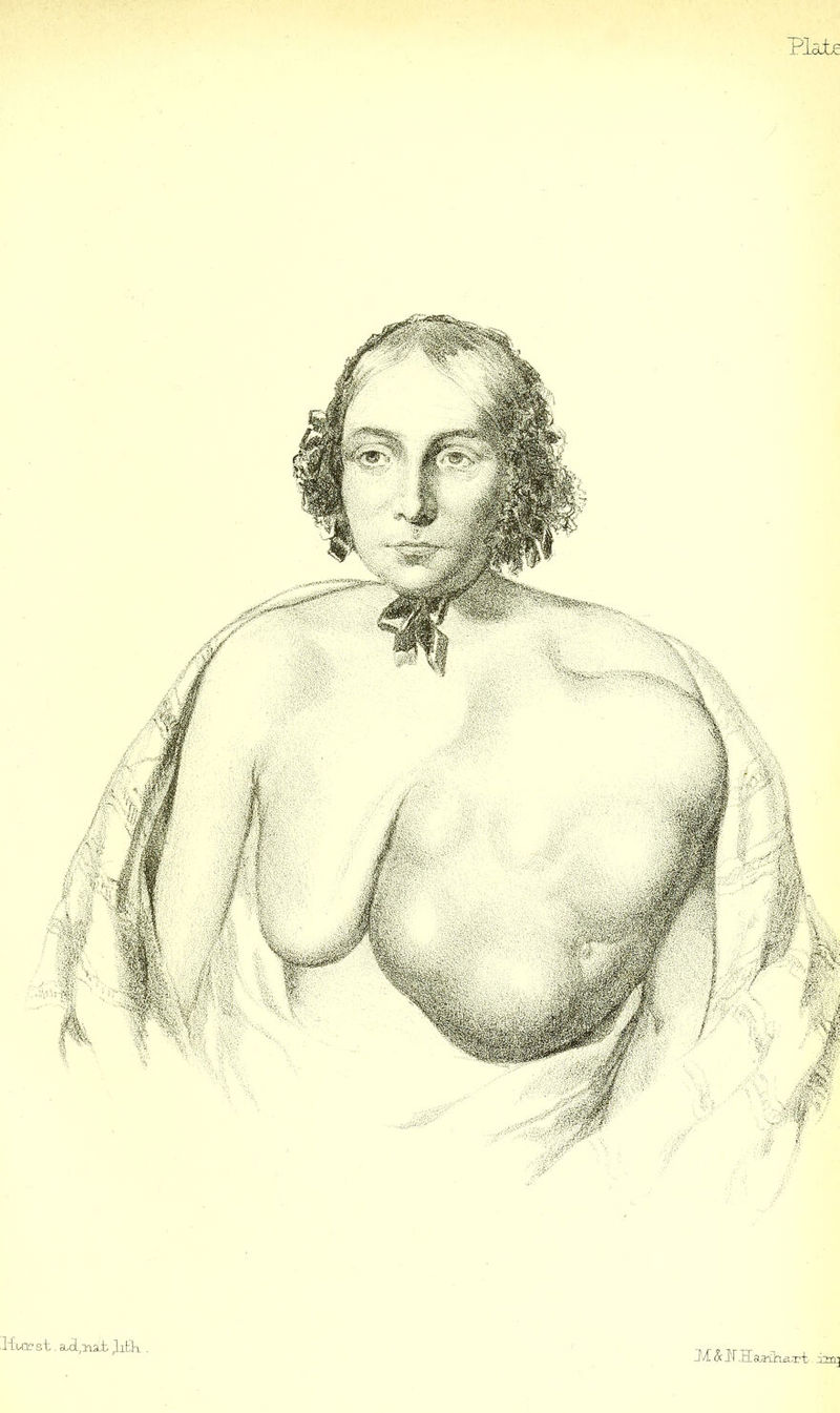 Pla±; ±m] .Huz’st. su<l,iia± ,liBa