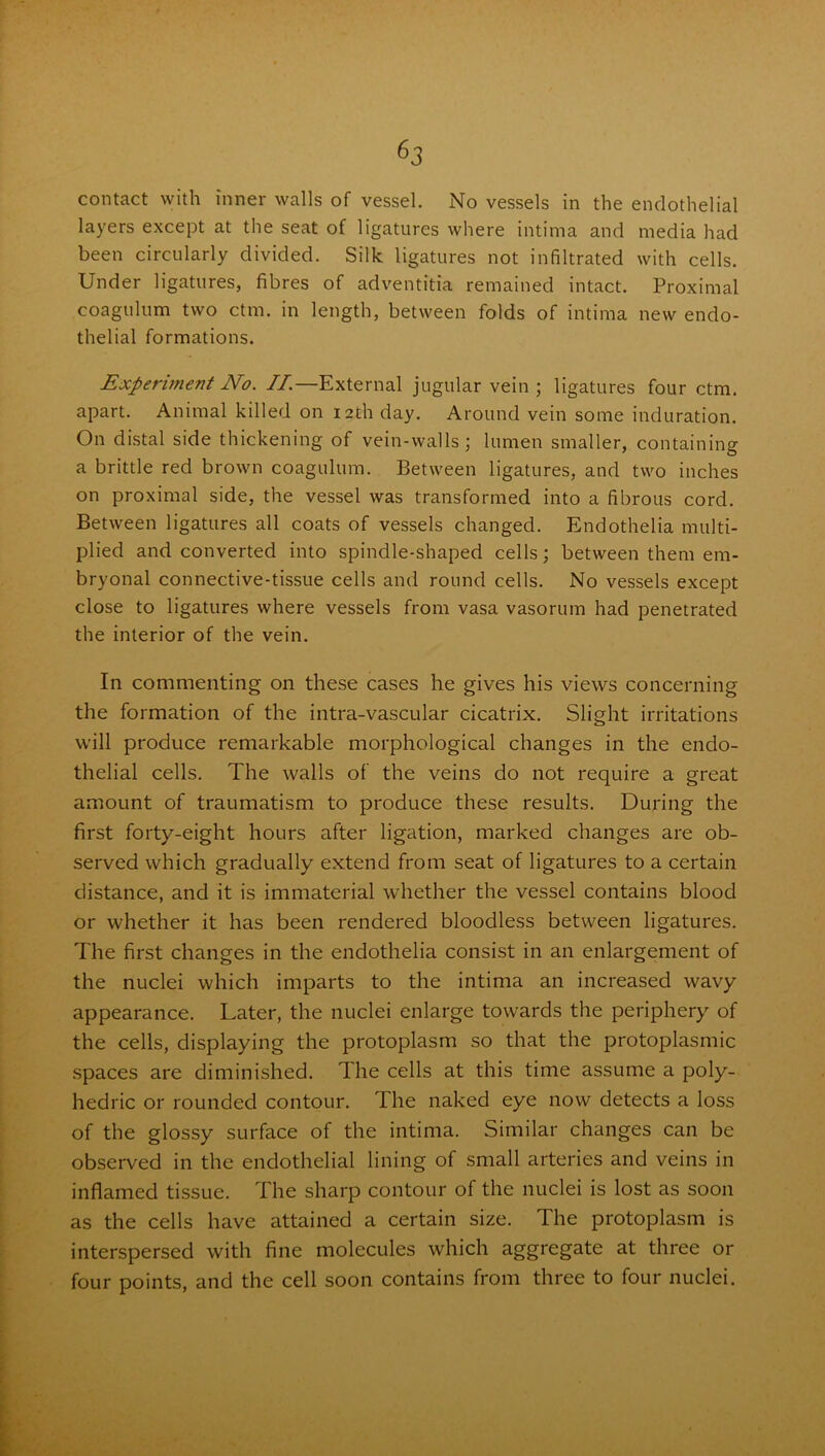 layers except at the seat of ligatures where intima and media had been circularly divided. Silk ligatures not infiltrated with cells. Under ligatures, fibres of adventitia remained intact. Proximal coagulum two ctm. in length, between folds of intima new endo- thelial formations. Experiment No. II.—External jugular vein ; ligatures four ctm. apart. Animal killed on 12th day. Around vein some induration. On distal side thickening of vein-walls; lumen smaller, containing a brittle red brown coagulum. Between ligatures, and two inches on proximal side, the vessel was transformed into a fibrous cord. Between ligatures all coats of vessels changed. Endothelia multi- plied and converted into spindle-shaped cells; between them em- bryonal connective-tissue cells and round cells. No vessels except close to ligatures where vessels from vasa vasorum had penetrated the interior of the vein. In commenting on these cases he gives his views concerning the formation of the intra-vascular cicatrix. Slight irritations will produce remarkable morphological changes in the endo- thelial cells. The walls of the veins do not require a great amount of traumatism to produce these results. During the first forty-eight hours after ligation, marked changes are ob- served which gradually extend from seat of ligatures to a certain distance, and it is immaterial whether the vessel contains blood or whether it has been rendered bloodless between ligatures. The first changes in the endothelia consist in an enlargement of the nuclei which imparts to the intima an increased wavy appearance. Later, the nuclei enlarge towards the periphery of the cells, displaying the protoplasm so that the protoplasmic spaces are diminished. The cells at this time assume a poly- hedric or rounded contour. The naked eye now detects a loss of the glossy surface of the intima. Similar changes can be observed in the endothelial lining of small arteries and veins in inflamed tissue. The sharp contour of the nuclei is lost as soon as the cells have attained a certain size. The protoplasm is interspersed with fine molecules which aggregate at three or four points, and the cell soon contains from three to four nuclei.