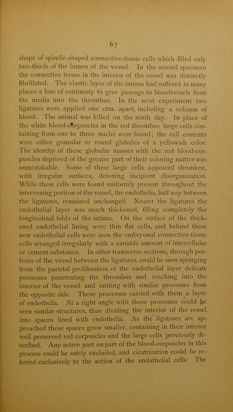 shape of spindle-shaped connective-tissue cells which filled only two-thirds of the lumen of the vessel. In the second specimen the connective tissue in the interior of the vessel was distinctly fibrillated. I he elastic layer of the intima had suffered in many places a loss of continuity to give passage to bloodvessels from the media into the thrombus. In the next experiment two ligatures were applied one ctm. apart, including a column of blood. The animal was killed on the ninth day. In place of the white blood-corpuscles in the red thrombus large cells con- taining from one to three nuclei were found; the cell contents were either granular or round globules of a yellowish color. The identity of these globular masses with the red blood-cor- puscles deprived of the greater part of their coloring matter was unmistakable. Some of these large cells appeared shrunken, with irregular surfaces, denoting incipient disorganization. While these cells were found uniformly present throughout the intervening portion of the vessel, the endothelia, half way between the ligatures, remained unchanged. Nearer the ligatures the endothelial layer was much thickened, filling completely the longitudinal folds of the intima. On the surface of the thick- ened endothelial lining were thin flat cells, and behind these new endothelial cells were seen the embryonal connective-tissue cells arranged irregularly with a variable amount of intercellular or cement substance. In other transverse sections, through por- tions of the vessel between the ligatures, could be seen springing from the parietal proliferation of the endothelial layer delicate processes penetrating the thrombus and reaching into the interior of the vessel and uniting with similar processes from the opposite side. These processes carried with them a layer of endothelia. At a right angle with these processes could be seen similar structures, thus dividing the interior of the vessel into spaces lined with endothelia. As the ligatures are ap- proached these spaces grow smaller, containing in their interior well preserved red corpuscles and the large cells previously de- scribed. Any active part on part of the blood-corpuscles in this process could be safely excluded, and cicatrization could be re- ferred exclusively to the action of the endothelial cells. I he