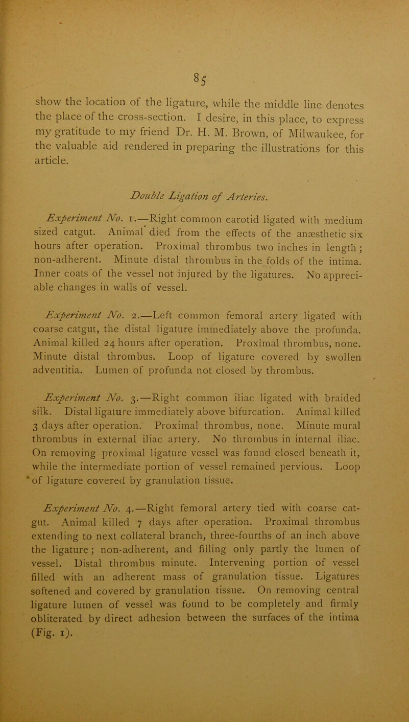 show the location of the ligature, while the middle line denotes the place of the cross-section. I desire, in this place, to express my gratitude to my friend Dr. H. M. Brown, of Milwaukee, for the valuable aid rendered in preparing the illustrations for this article. Double Ligation of Arteries. Experiment No. i.—Right common carotid ligated with medium sized catgut. Animal died from the effects of the anaesthetic six hours after operation. Proximal thrombus two inches in length ; non-adherent. Minute distal thrombus in the folds of the intima. Inner coats of the vessel not injured by the ligatures. No appreci- able changes in walls of vessel. Experbnent No. 2.—Left common femoral artery ligated with coarse catgut, the distal ligature immediately above the profunda. Animal killed 24 hours after operation. Proximal thrombus, none. Minute distal thrombus. Loop of ligature covered by swollen adventitia. Lumen of profunda not closed by thrombus. Experwient No. 3.—Right common iliac ligated with braided silk. Distal ligature immediately above bifurcation. Animal killed 3 days after operation. Proximal thrombus, none. Minute mural thrombus in external iliac artery. No thrombus in internal iliac. On removing proximal ligature vessel was found closed beneath it, while the intermediate portion of vessel remained pervious. Loop * of ligature covered by granulation tissue. Experiment No. 4.—Right femoral artery tied with coarse cat- gut. Animal killed 7 days after operation. Proximal thrombus extending to next collateral branch, three-fourths of an inch above the ligature; non-adherent, and filling only partly the lumen of vessel. Distal thrombus minute. Intervening portion of vessel filled with an adherent mass of granulation tissue. Ligatures softened and covered by granulation tissue. On removing central ligature lumen of vessel was found to be completely and firmly obliterated by direct adhesion between the surfaces of the intima (Fig- I)-