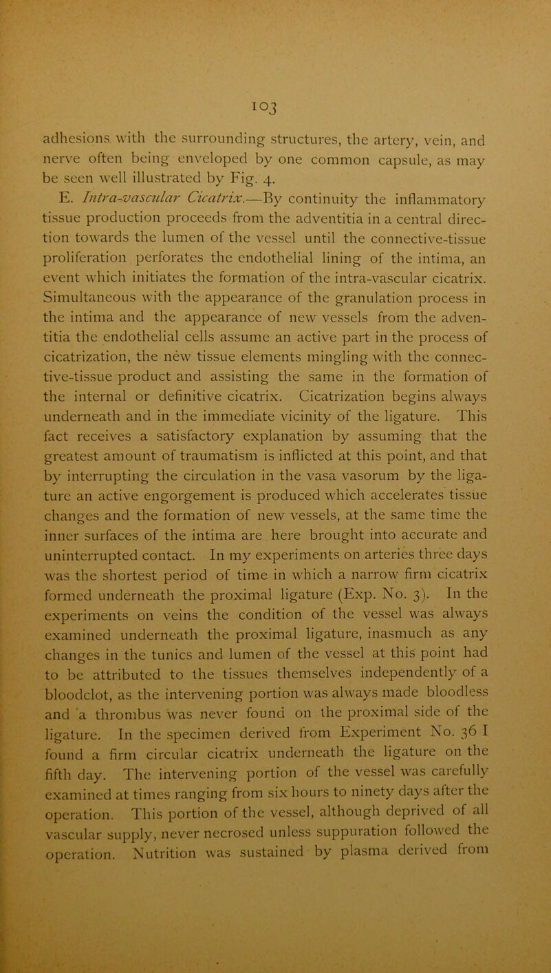 adhesions, with the surrounding structures, the artery, vein, and nerve often being enveloped by one common capsule, as may be seen well illustrated by Fig. 4. E. Intra-vascular Cicatrix.—By continuity the inflammatory tissue production proceeds from the adventitia in a central direc- tion towards the lumen of the vessel until the connective-tissue proliferation perforates the endothelial lining of the intima, an event which initiates the formation of the intra-vascular cicatrix. Simultaneous with the appearance of the granulation process in the intima and the appearance of new vessels from the adven- titia the endothelial cells assume an active part in the process of cicatrization, the new tissue elements mingling with the connec- tive-tissue product and assisting the same in the formation of the internal or definitive cicatrix. Cicatrization begins always underneath and in the immediate vicinity of the ligature. This fact receives a satisfactory explanation by assuming that the greatest amount of traumatism is inflicted at this point, and that by interrupting the circulation in the vasa vasorum by the liga- ture an active engorgement is produced which accelerates tissue changes and the formation of new vessels, at the same time the inner surfaces of the intima are here brought into accurate and uninterrupted contact. In my experiments on arteries three days was the shortest period of time in which a narrow firm cicatrix formed underneath the proximal ligature (Exp. No. 3). In the experiments on veins the condition of the vessel was always examined underneath the proximal ligature, inasmuch as any changes in the tunics and lumen of the vessel at this point had to be attributed to the tissues themselves independently of a bloodclot, as the intervening portion was always made bloodless and a thrombus was never found on the proximal side of the ligature. In the specimen derived from Experiment No. 36 I found a firm circular cicatrix underneath the ligature on the fifth day. The intervening portion of the vessel was carefully examined at times ranging from six hours to ninety days aftei the operation. This portion of the vessel, although deprived of all vascular supply, never necrosed unless suppuration followed the operation. Nutrition was sustained by plasma deiived fiom