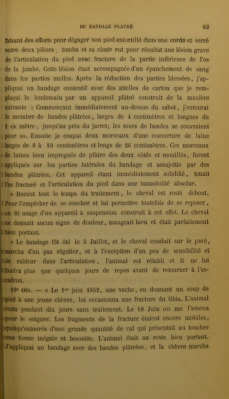 faisant des efforts pour dégager son pied entortillé dans une corde et serré entre deux piliers , tomba et sa chute eut pour résultat une lésion grave de l’articulation du pied avec fracture de la partie inférieure de l’os de la jambe. Cette lésion était accompagnée d’un épanchement de sang dans les parties molles. Après la réduction des parties blessées, j’ap- pliquai un bandage contentif avec des attelles de carton que je rem- plaçai le lendemain par un appareil plâtré construit de la manière suivante : Commençant immédiatement au-dessus du sabot, j’entourai le membre de bandes plâtrées, larges de 4 centimètres et longues de 1 i/î mètre , jusqu’au près du jarret; les tours de bandes se couvraient pour s/e. Ensuite je coupai deux morceaux d’une couverture de laine larges de 8 à 10 centimètres et longs de 26 centimètres. Ces morceaux de laines bien imprégnés de plâtre des deux côtés et mouillés, furent appliqués sur les parties latérales du bandage et assujettis par des ; bandes plâtrées. Cet appareil étant immédiatement solidifié, tenait ; l’os fracturé et l’articulation du pied dans une immobilité absolue. » Durant tout le temps du traitement, le cheval est resté debout. 1 Pour l’empêcher de se coucher et lui permettre toutefois de se reposer, ( on fit usage d’un appareil à suspension construit à cet effet. Le cheval : ne donnait aucun signe de douleur, mangeait bien et était parfaitement bien portant. » Le bandage fût ôté le 5 Juillet, et le cheval conduit sur le pavé, ï marcha d’un pas régulier, et à l’exception d’un peu de sensibilité et i: de raideur dans l’articulation , l’animal est rétabli et il ne lui i faudra plus que quelques jours de repos avant de retourner à l’es- cadron. 18e Obs. — « Le 1er juin 1852, une vache, en donnant un coup de pied k une jeune chèvre, lui occasionna une fracture du tibia. L’animal resta pendant dix jours sans traitement. Le 10 Juin on me l’amena pour le soigner. Les fragments de la fracture étaient encore mobiles, ’ quoiqu’entourés d’une grande quantité de cal qui présentait au toucher une forme inégale et bosselée. L’animal était au reste bien portant. J’appliquai un bandage avec des bandes plâtrées, et la chèvre marcha