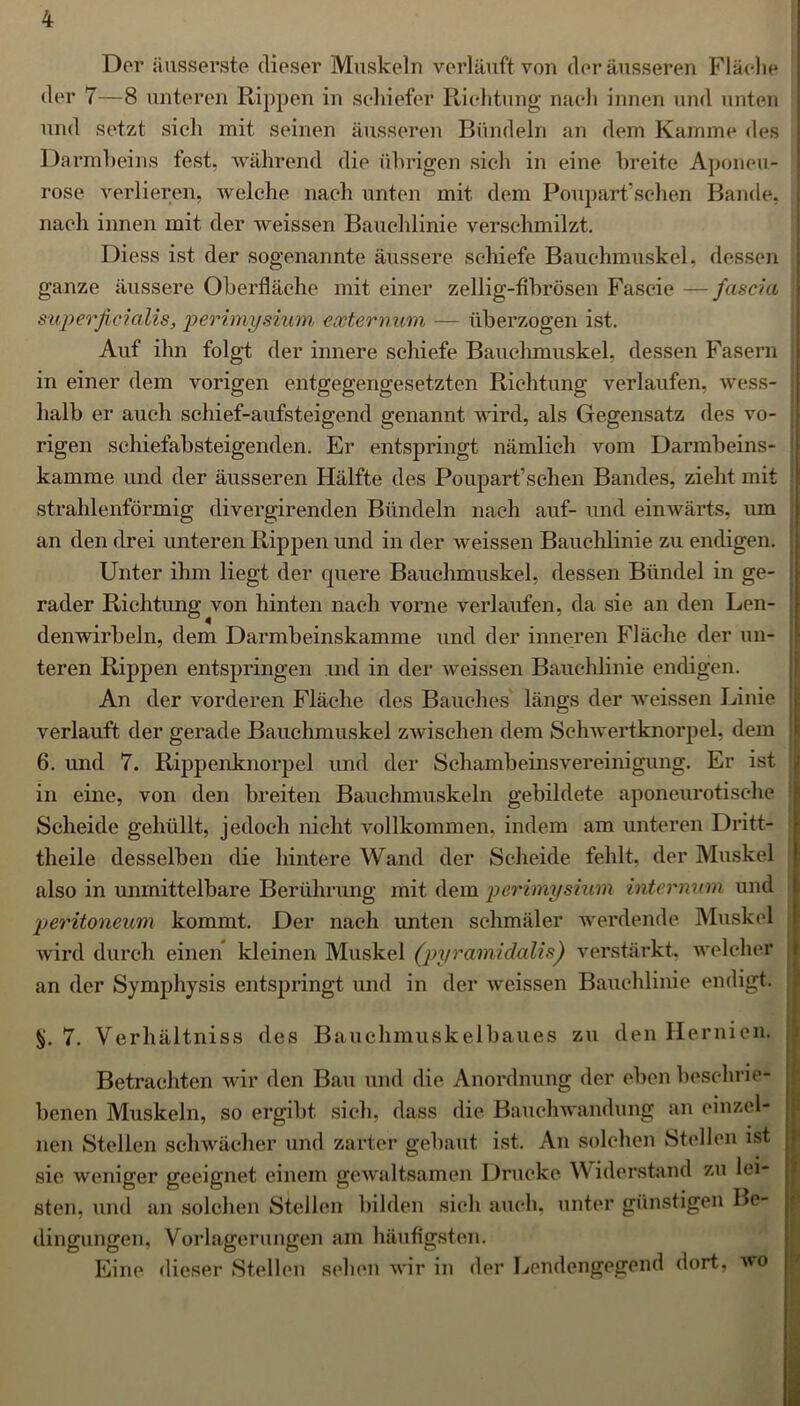 Der äusserste dieser Muskeln verläuft von der äusseren Fläche der 7—8 unteren Rippen in schiefer Richtung nach innen und unten und setzt sich mit seinen äusseren Bündeln an dem Kamme des Darmbeins fest, während die übrigen sich in eine breite Aponeu- rose verlieren, welche nach unten mit dem Poupart sehen Bande, nach innen mit der weissen Bauchlinie verschmilzt. Diess ist der sogenannte äussere schiefe Bauchmuskel, dessen ganze äussere Oberfläche mit einer zeilig-fibrösen Fascie —fascht superficialis, perimysium eocternum — überzogen ist. Auf ihn folgt der innere schiefe Bauchmuskel, dessen Fasern in einer dem vorigen entgegengesetzten Richtung verlaufen, wess- halb er auch schief-aufsteigend genannt wird, als Gegensatz des vo- rigen schiefabsteigenden. Er entspringt nämlich vom Darmbeins- kamme und der äusseren Hälfte des Poupart’schen Bandes, zieht mit strahlenförmig divergirenden Bündeln nach auf- und einwärts, um an den drei unteren Rippen und in der weissen Bauchlinie zu endigen. Unter ihm liegt der quere Bauchmuskel, dessen Bündel in ge- rader Richtung von hinten nach vorne verlaufen, da sie an den Len- denwirbeln, dem Darmbeinskamme und der inneren Fläche der un- teren Rippen entspringen md in der weissen Bauchlinie endigen. An der vorderen Fläche des Bauches längs der weissen Linie verlauft der gerade Bauchmuskel zwischen dem Schwertknorpel, dem 6. und 7. Rippenknorpel und der Schambeinsvereinigung. Er ist in eine, von den breiten Bauchmuskeln gebildete aponeurotische Scheide gehüllt, jedoch nicht vollkommen, indem am unteren Dritt- theile desselben die hintere Wand der Scheide fehlt, der Muskel also in unmittelbare Berührung mit dem perimysium internum und peritoneum kommt. Der nach unten schmäler werdende Muskel wird durch einen kleinen Muskel (pyramidalis) verstärkt, welcher an der Symphysis entspringt und in der weissen Bauchlinie endigt. §. 7. Verhältniss des Bauchmuskelbaues zu den Hernien. Betrachten wir den Bau und die Anordnung der eben beschrie- benen Muskeln, so ergibt sich, dass die Bauchwandung an einzel- nen Stellen schwächer und zarter gebaut ist. An solchen Stellen ist sie weniger geeignet einem gewaltsamen Drucke Widerstand zu lei- sten, und an solchen Stellen bilden sich auch, unter günstigen Be- dingungen, Vorlagerungen am häufigsten. Eine dieser Stellen sehen wir in der Lendengegend dort, wo !