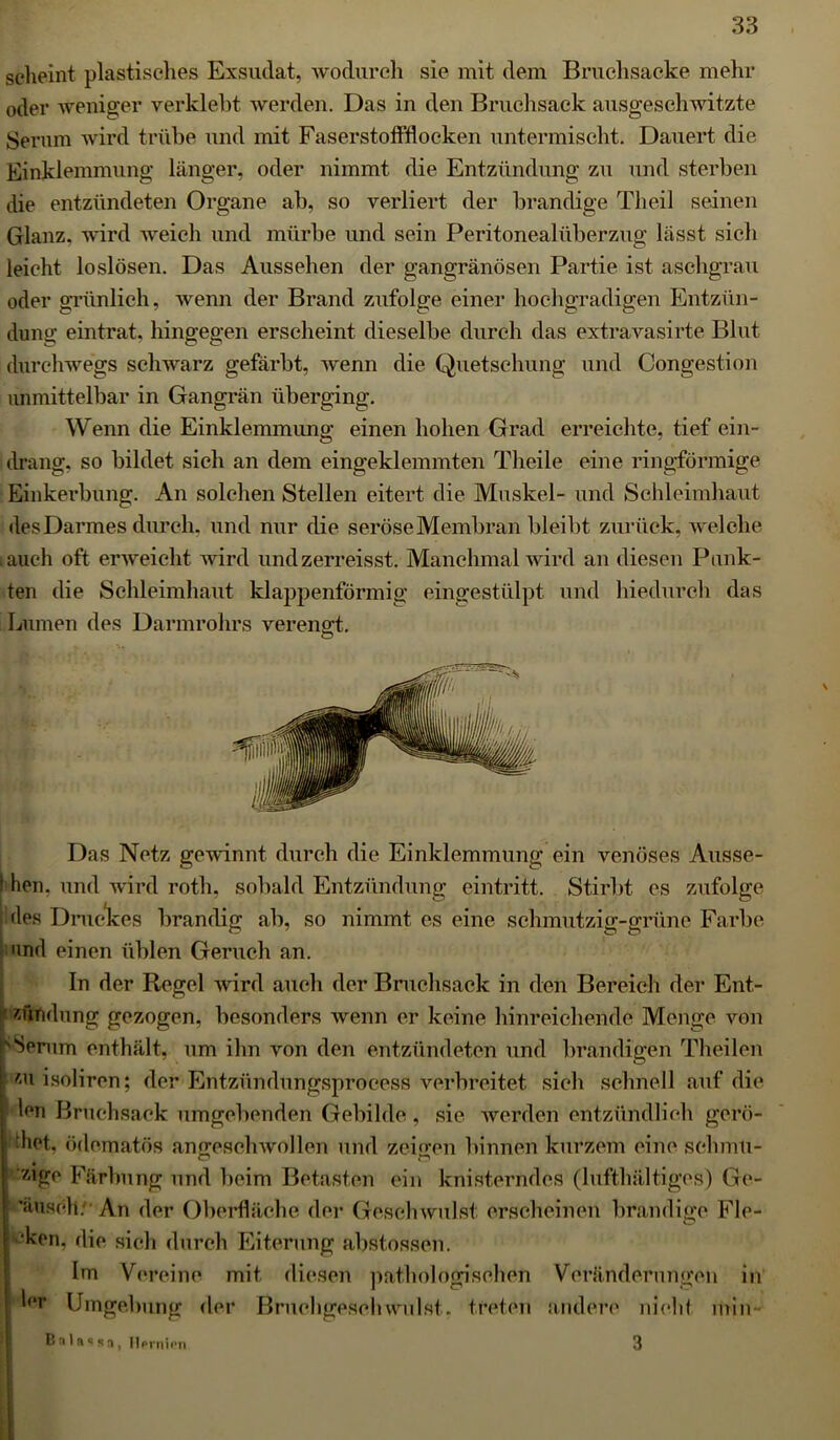 scheint plastisches Exsudat, wodurch sie mit dem Bruchsacke mehr oder weniger verklebt werden. Das in den Bruchsack ausgeschwitzte Serum wird trübe und mit Faserstoffflocken untermischt. Dauert die Einklemmung länger, oder nimmt die Entzündung zu und sterben die entzündeten Organe ab, so verliert der brandige Theil seinen Glanz, wird weich und mürbe und sein Peritonealüberzug lässt sich leicht loslösen. Das Aussehen der gangränösen Partie ist aschgrau oder grünlich, wenn der Brand zufolge einer hochgradigen Entzün- dung eintrat, hingegen erscheint dieselbe durch das extravasirte Blut durchwegs schwarz gefärbt, wenn die Quetschung und Congestion unmittelbar in Gangrän überging. Wenn die Einklemmung einen hohen Grad erreichte, tief ein- drang, so bildet sich an dem eingeklemmten Theile eine ringförmige Einkerbung. An solchen Stellen eitert die Muskel- und Schleimhaut des Darmes durch, und nur die seröse Membran bleibt zurück, welche auch oft erweicht wird undzerreisst. Manchmal wird an diesen Punk- ten die Schleimhaut klappenförmig eingestülpt und hiedurch das Lumen des Darmrohrs verengt. Das Netz gewinnt durch die Einklemmung ein venöses Ausse- I hen. und wird roth, sobald Entzündung eintritt. Stirbt es zufolge i des Druckes brandig ab, so nimmt es eine schmutzig-grüne Farbe und einen üblen Geruch an. In der Regel wird auch der Bruchsack in den Bereich der Ent- ' Zündung gezogen, besonders wenn er keine hinreichende Menge von ‘ Serum enthält, um ihn von den entzündeten und brandigen Theilen | zu isoliren; der Entzündungsprocess verbreitet sich schnell auf die len Bruchsack umgebenden Gebilde, sie werden entzündlich gerö- diet. ödematös angeschwollen und zeigen binnen kurzem eine schmu- 1 zige Färbung und beim Betasten ein knisterndes (lufthaltiges) Ge- ’äuseh.' An der Oberfläche der Geschwulst erscheinen brandige Fle- I ^ •ken. Rio sich durch Eiterung abstossen. Im Vereine mit diesen pathologischen Veränderungen in l<li‘ Umgebung der Bruchgeschwulst, treten andere nicht min Bnla«*sa, Hernien 3