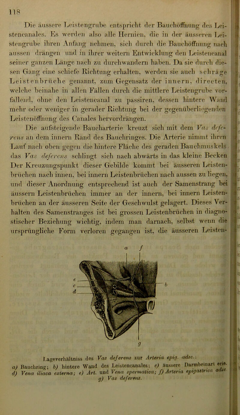 Die äussere Leistengrube entspricht der Bauchöffnung des Lei- stencanales. Es werden also alle Hernien, die in der äusseren Lei- stengrube ihren Anfang nehmen, sich durch die Bauchöffnung nach aussen drängen und in ihrer weitern Entwicklung den Leistencanal seiner ganzen Länge nach zu durchwandern haben. Da sie durch die- sen Gang eine schiefe Richtung erhalten, werden sie auch schräge Lei st enbrüch e genannt, zum Gegensatz der inne rn, di rect en, welche beinahe in allen Fällen durch die mittlere Leistengrube vor- fallend, ohne den Leistencanal zu passiren, dessen hintere Wand mehr oder weniger in gerader Richtung bei der gegenüberliegenden Leistenöffnung des Canales her vor drängen. Die aufsteigende Baucharterie kreuzt sich mit dem Vits defe- rens an dem innern Rand des Bauchringes. Die Arterie nimmt ihren Lauf nach oben gegen die hintere Fläche des geraden Bauchmuskels das Vas deferens schlingt sich nach abwärts in das kleine Becken Der Kreuzungspunkt dieser Gebilde kommt bei äusseren Leisten- I. brüchen nach innen, bei innern Leistenbrüchen nach aussen zu liegen, il und dieser Anordnung entsprechend ist auch der Samenstrang bei äussern Leistenbrüchen immer an der innern, bei innern Leisten- brüchen an der äusseren Seite der Geschwulst gelagert. Dieses Ver- halten des Samenstranges ist bei grossen Leistenbrüchen in diagno- 1 stischer Beziehung wichtig, indem man darnach, selbst wenn die ursprüngliche Form verloren gegangen ist, die äusseren Leisten- a f 9 Lageverhältniss des Vas deferens zur Arteria epig. adsc.: a) Bauchring; b) hintere Wand des Leistcncanales; c) äussere Darmbeinart erie. d) Vena iliaca externa; e) Art. und Vena spermalica; f) Arteria eptgaslnca aase g) Vas deferens. IHR