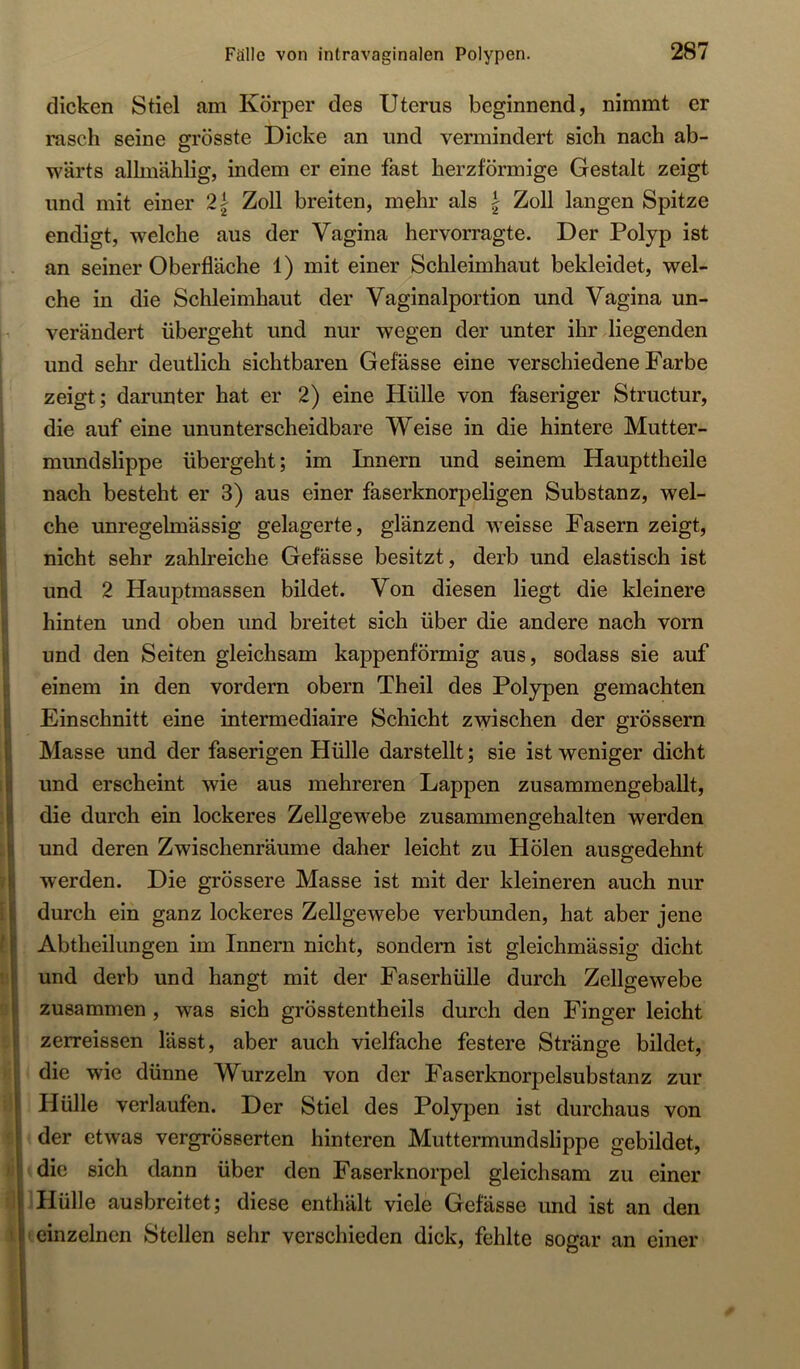 i: ii r p 1 ti ti I dicken Stiel am Körper des Uterus beginnend, nimmt er rasch seine grösste Dicke an und vermindert sich nach ab- wärts alhnählig, indem er eine fast herzförmige Gestalt zeigt und mit einer 2| Zoll breiten, mehr als \ Zoll langen Spitze endigt, welche aus der Vagina hervorragte. Der Polyp ist an seiner Oberfläche 1) mit einer Schleimhaut bekleidet, wel- che in die Schleimhaut der Vaginalportion und Vagina un- verändert übergeht und nur wegen der unter ihr liegenden und sehr deutlich sichtbaren Gefässe eine verschiedene Farbe zeigt; darunter hat er 2) eine Hülle von faseriger Structur, die auf eine ununterscheidbare Weise in die hintere Mutter- mundslippe übergeht; im Innern und seinem Haupttheile nach besteht er 3) aus einer faserknorpeligen Substanz, wel- che unregelmässig gelagerte, glänzend weisse Fasern zeigt, nicht sehr zahlreiche Gefässe besitzt, derb und elastisch ist und 2 Hauptmassen bildet. Von diesen liegt die kleinere hinten und oben und breitet sich über die andere nach vorn und den Seiten gleichsam kappenförmig aus, sodass sie auf einem in den vordem obern Theil des Polypen gemachten Einschnitt eine intermediaire Schicht zwischen der grössern Masse und der faserigen Hülle darstellt; sie ist weniger dicht und erscheint wie aus mehreren Lappen zusammengeballt, die durch ein lockeres ZellgeM^ebe zusammengehalten werden und deren Zwischenräume daher leicht zu Hölen ausgedehnt werden. Die grössere Masse ist mit der kleineren auch nur durch ein ganz lockeres Zellgewebe verbunden, hat aber jene Abtheilungen im Innern nicht, sondern ist gleichmässig dicht und derb und hangt mit der Faserhülle durch Zellgewebe zusammen, was sich grösstentheils durch den Finger leicht zerreissen lässt, aber auch vielfache festere Stränge bildet, die wie dünne Wurzeln von der Faserknorpelsubstanz zur : Hülle verlaufen. Der Stiel des Polypen ist durchaus von der etwas vergrösserten hinteren Muttermundslippe gebildet, i die sich dann über den Faserknorpel gleichsam zu einer i Hülle ausbreitet; diese enthält viele Gefässe und ist an den I'einzelnen Stellen sehr verschieden dick, fehlte sogar an einer