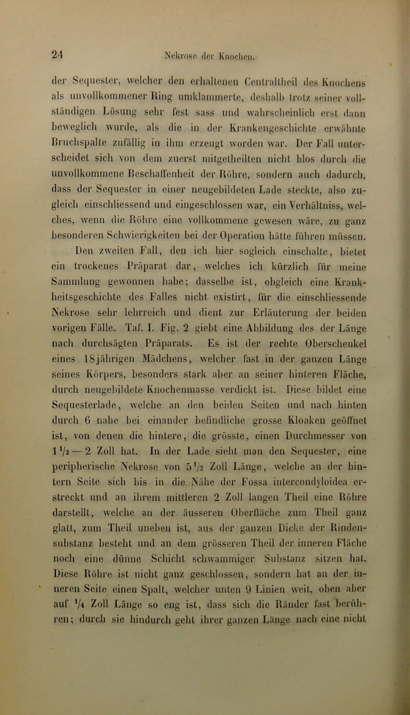 der Sequester, welcher den erhaltenen Centraltheil des Knuchens als unvollkomniener Ring nniklaniinerte, deshalh trotz seiner voll- ständigen Lösung sehr fest sass und wahrscheinlich erst dann beweglich 'wurde, als die in der Krankengeschichte erwähnte Bruchspalte zufällig in ihm ci’zeugt worden war. Der Fall unter- scheidet sich von dem zuerst mitgethcilten nicht hlos durch die unvollkommene Beschaffenheit der Bohre, sondern auch dadurch, dass der Sequester in einer neugebildeten Lade steckte, also zu- gleich einschliessend und eingeschlossen war, ein Verhältniss, wel- ches, wenn die Bohre eine vollkommene gewesen wäre, zu ganz besonderen Schwierigkeiten bei der Operation hätte führen müssen. Den zweiten Fall, den ich hier sogleich einschalte, bietet ein trockenes Präparat dar, welches ich kürzlich für meine Sammlung gewonnen habe; dasselbe ist, obgleich eine Krank- heitsgeschichte des Falles nicht existirt, für die einschliessende Nekrose sehr lehrreich und dient zur Erläuterung der beiden vorigen Fälle. Taf. I. Fig. 2 giebt eine Abbildung des der Länge nach durchsägten Präparats. Es ist der rechte Oberschenkel eines 18jährigen Mädchens, welcher fast in der ganzen Länge seines Körpers, besonders stark aber an seiner binteren Fläche, durch neugebildete Knochenmasse verdickt ist. Diese bildet eine Sequesterlade, welche an den beiden Seiten und nach hinten durch 6 nahe bei einander befindiiebe grosse Kloaken geöffnet ist, von denen die hintere, die grösste, einen Durchmesser von 1 V‘2 — 2 Zoll hat. In der Lade sieht man den Sequester, eine peripherische Nekrose von 5*/2 Zoll Länge, welche an der hin- tern Seite sich bis in die Näbe der Fossa intercondyloidea er- streckt und an ihrem mittleren 2 Zoll langen Theil eine Böhre darstellt, welche an der äusseren Oberfläche zum Theil ganz glatt, zum Theil uneben ist, aus der ganzen Dicke der Binden- substanz besteht und an dem grösseren Theil der inneren ITäche noch eine dünne Schicht schwammiger Substanz sitzen hat. Diese Böhre ist nicht ganz geschlossen, sondern hat an der in- neren Seite einen Spalt, welcher unten 9 Linien weit, oben aber auf Zoll Länge so eng ist, dass sieb die Bänder fast berüh- ren; durch sie hindurch geht ihrer ganzen Länge nach eine nicht