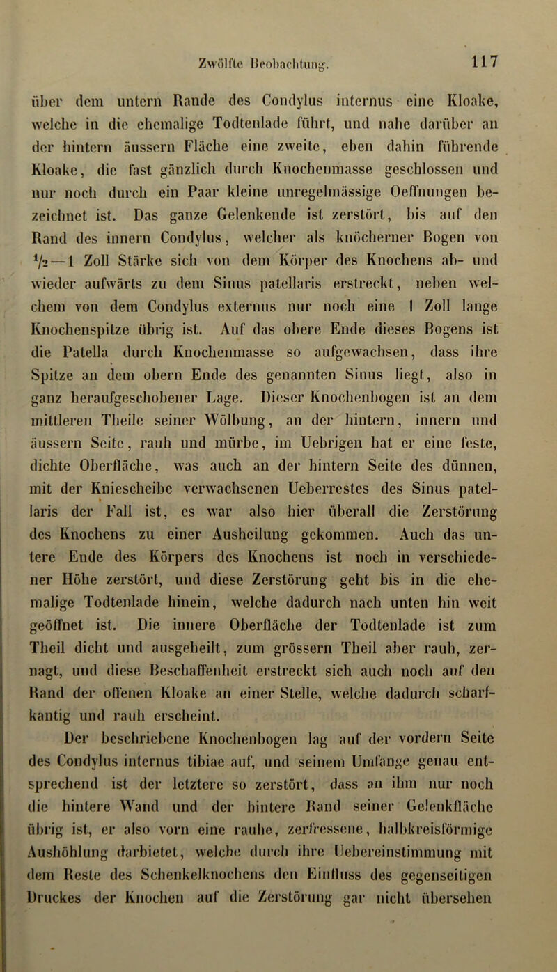 Zwölfte beol)aditun{^. über dein untern Rande des Condylus internus eine Kloake, welche in die ehemalige Todtenlade führt, und nalie darüber an der iiintern üussern Flüche eine zweite, eben dahin führende Kloake, die fast gänzlich durch Knochenmasse geschlossen und nur noch durch ein Paar kleine unregelmässige OefTnungen be- zeichnet ist. Das ganze Gelenkende ist zerstört, bis auf den Rand des innern Condylus, welcher als knöcherner Bogen von V2 — 1 Zoll Stärke sich von dem Körper des Knochens ab- und wieder aufwärts zu dem Sinus patellaris erstreckt, neben wel- chem von dem Condylus externus nur noch eine I Zoll lange Knochenspitze übrig ist. Auf das obere Ende dieses Bogens ist die Patella durch Knochenmasse so aufgewachsen, dass ihre Spitze an dem obern Ende des genannten Sinus liegt, also in ganz heraufgeschobener Lage. Dieser Knochenbogen ist an dem mittleren Theile seiner Wölbung, an der hintern, innern und äussern Seite, rauh und mürbe, im Uebrigen hat er eine feste, dichte Oberfläche, was auch an der hintern Seite des dünnen, mit der Kniescheibe verwachsenen üeberrestes des Sinus patel- laris der Fall ist, es war also hier überall die Zerstörung des Knochens zu einer Ausheilung gekommen. Auch das un- tere Ende des Körpers des Knochens ist noch in verschiede- ner Höhe zerstört, und diese Zerstörung geht bis in die ehe- malige Todtenlade hinein, welche dadurch nach unten hin weit geöflnet ist. Die innere Oberfläche der Todtenlade ist zum Theil dicht und ausgeheilt, zum grössern Theil aber rauh, zer- nagt, und diese Beschaffenheit erstreckt sich auch noch auf den Rand der offenen Kloake an einer Stelle, welche dadurch scharf- kantig und rauh erscheint. Der beschriebene Knochenbogen lag auf der vordem Seite des Condylus internus tibiae auf, und seinem Umfange genau ent- sprechend ist der letztere so zerstört, dass an ihm nur noch die hintere Wand und der hintere Rand seiner Gelenkfläche übrig ist, er also vorn eine rauhe, zerfressene, balbkreisförmige Aushöhlung darbietet, welche durch ihre Uebereinstimmung mit dem Reste des Schenkelknochens den Einfluss des gegenseitigen Druckes der Knochen auf die Zerstörung gar nicht übersehen