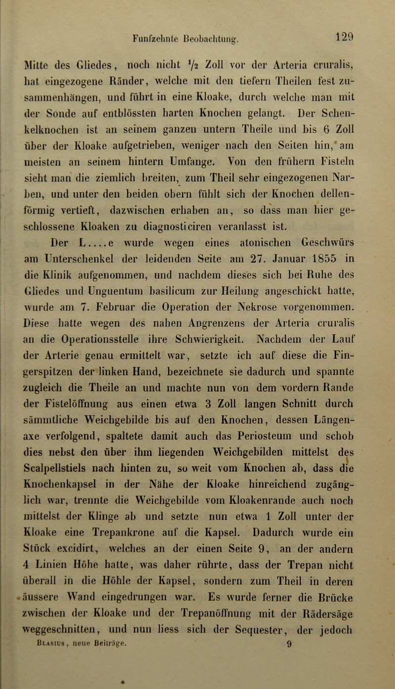 Älitte des Gliedes, noch nicht ‘/z Zoll vor der Arteria crnralis, hat eingezogene Ränder, welche mit den tiefem Theilen fest zii- saininenhängen, und führt in eine Kloake, durch welche man mit der Sonde auf entblössten harten Knochen gelangt. Der Schen- kelknochen ist an seinem ganzen untern Theile und bis 6 Zoll über der Kloake aufgetrieben, weniger nach den Seiten hin,‘ am meisten an seinem hintern Umfange. Von den frühem Fisteln sieht man die ziemlich breiten, zum Theil sehr eingezogenen Nar- ben, und unter den beiden obern fühlt sich der Knochen dellen- förmig vertieft, dazwischen erhaben an, so dass man hier ge- schlossene Kloaken zu diagnosticiren veranlasst ist. Der L e wurde wegen eines atonischen Geschwürs am Unterschenkel der leidenden Seite am 27. Januar 1855 in die Klinik aufgenommen, und nachdem dieses sich bei Ruhe des Gliedes und Unguentum basilicum zur Heilung angeschickt hatte, wurde am 7. Februar die Operation der Nekrose vorgenommen. Diese hatte wegen des nahen Angrenzens der Arteria cruralis an die Operationsstelle ihre Schwierigkeit. Nachdem der Lauf der Arterie genau ermittelt war, setzte ich auf diese die Fin- gerspitzen der linken Hand, bezeichnete sie dadurch und spannte zugleich die Theile an und machte nun von dem vordem Rande der Fistelöffnung aus einen etwa 3 Zoll langen Schnitt durch sämmtliche Weichgebilde bis auf den Knochen, dessen Längen- axe verfolgend, spaltete damit auch das Periosteum und schob dies nebst den über ihm liegenden Weichgebilden mittelst des Scalpellstiels nach hinten zu, so weit vom Knochen ab, dass die Knochenkapsel in der Nähe der Kloake hinreichend zugäng- lich war, trennte die Weichgebilde vom Kloakenrande auch noch mittelst der Klinge ab und setzte nun etwa 1 Zoll unter der Kloake eine Trepankrone auf die Kapsel. Dadurch wurde ein Stück excidirt, welches an der einen Seite 9, an der andern 4 Linien Höhe hatte, was daher rührte, dass der Trepan nicht überall in die Höhle der Kapsel, sondern zum Theil in deren -äussere Wand eingedrungen war. Es wurde ferner die Drücke zwischen der Kloake und der Trepanöffnung mit der Rädersäge weggeschnitten, und nun liess sich der Sequester, der jedoch Blasius, neue Beiträge. 9