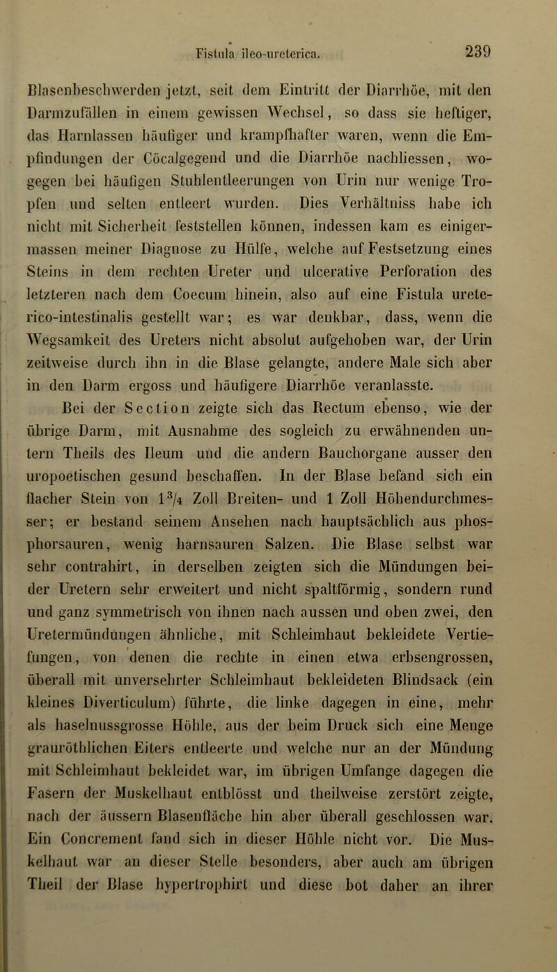 I]lasenl)escli\verdcn jetzt, seit dem Eintritt der Diarrhöe, mit den Darmzurällen in einem gewissen Wechsel, so dass sie heftiger, das Harnlassen häutiger und kramplliafter waren, wenn die Em- pfindungen der Cücalgegend und die Diarrhöe nachliessen, wo- gegen bei häufigen Stuhlentleerungen von Urin nur wenige Tro- pfen und selten entleert wurden. Dies Verhältniss habe ich nicht mit Sicherheit feststellen können, indessen kam es einiger- massen meiner Diagnose zu Hülfe, welche auf Festsetzung eines Steins in dem rechten Ureter und ulcerative Perforation des letzteren nach dem Coecum hinein, also auf eine Fistula urete- rico-intestinalis gestellt war; es war denkbar, dass, wenn die Wegsamkeit des Ureters nicht absolut aufgehoben war, der Urin zeitweise durch ihn in die Blase gelangte, andere Male sich aber in den Darm ergoss und häufigere Diarrhöe veranlasste. Bei der Section zeigte sich das Bectum ebenso, wie der übrige Darm, mit Ausnahme des sogleich zu erwähnenden un- tern Theils des Ileum und die andern Bauchorgane ausser den uropoetischen gesund beschaflen. In der Blase befand sich ein llacher Stein von 1^/4 Zoll Breiten- und 1 Zoll Höhendurchmes- ser; er bestand seinem Ansehen nach hauptsächlich aus phos- phorsauren, wenig harnsauren Salzen. Die Blase selbst war sehr contrahirt, in derselben zeigten sich die Mündungen bei- der Uretern sehr erweitert und nicht spaltförmig, sondern rund und ganz symmetrisch von ihnen nach aussen und oben zwei, den Uretermündungen ähnliche, mit Schleimhaut bekleidete Vertie- fungen, von denen die rechte in einen etwa erbsengrossen, überall mit unversehrter Schleimhaut bekleideten Blindsack (ein kleines Diverticulum) führte, die linke dagegen in eine, mehr als haselnussgrosse Höhle, aus der beim Druck sich eine Menge grauröthlichen Eiters entleerte und welche nur an der Mündung mit Schleimhaut bekleidet war, im übrigen Umfange dagegen die Fasern der Muskelhaut entblösst und theilweise zerstört zeigte, nach der äussern Blasenfiäche hin aber überall geschlossen war. Ein Concrement fand sich in dieser Höhle nicht vor. Die Mus- kelhaut war an dieser Stelle besonders, aber auch am übrigen Theil der Blase hypertrophirt und diese bot daher an ihrer