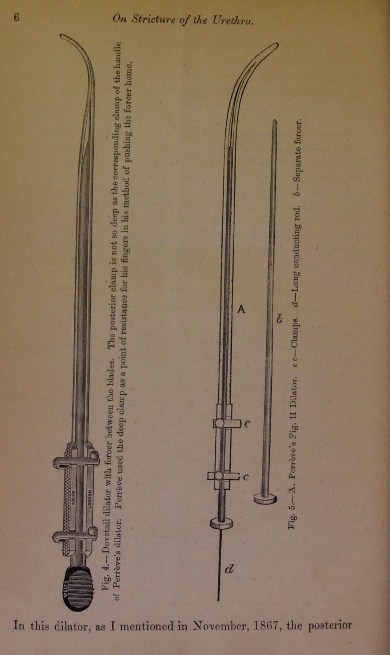 In this dilator, as I mentioned in November, 1807, the posterior