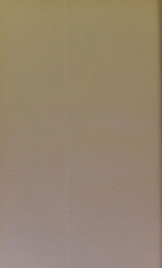 digitised image 2