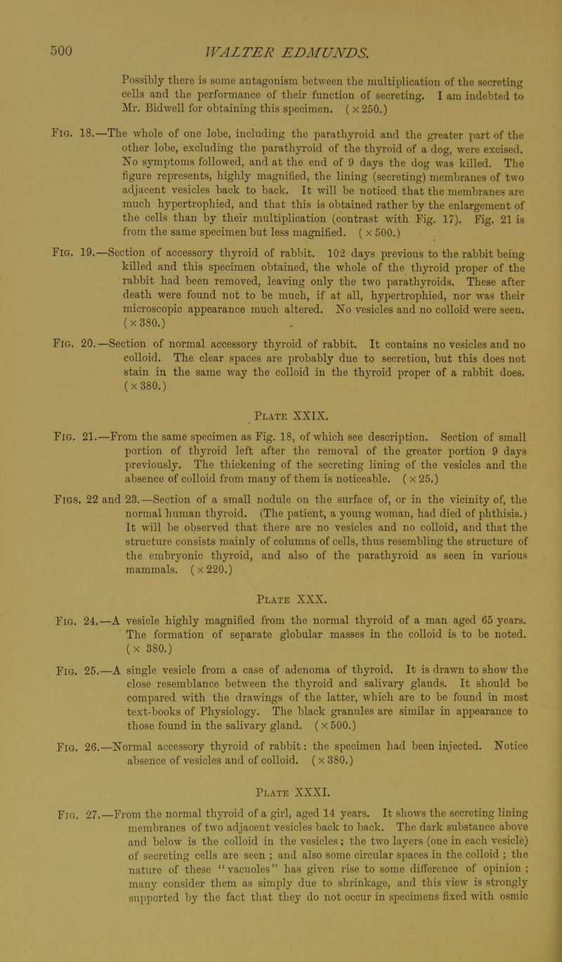 Possibly there is some antagonism between the mnltiplication of the secreting cells and the performance of their function of secreting. I am indebted to Mr. Bidwell for obtaining this specimen. ( x 250.) Fig. 18.—The whole of one lobe, including the parathyroid and the greater part of the other lobe, excluding the parathyroid of the thyroid of a dog, were excised. No symptoms followed, and at the end of 9 days the dog was killed. The figure represents, highly magnified, the lining (secreting) membranes of two adjacent vesicles back to back. It will be noticed that the membranes are much hypertrophied, and that this is obtained rather by the enlargement of the cells than by their multiplication (contrast with Fig. 17). Fig. 21 is from the same specimen but less magnified. ( x 500.) Fig. 19.—Section of accessory thyroid of rabbit. 102 days previous to the rabbit being killed and this specimen obtained, the whole of the thyroid proper of the rabbit had been removed, leaving only the two parathyroids. These after death were found not to be much, if at all, hypertrophied, nor was their microscopic appearance much altered. No vesicles and no colloid were seen. (x380.) Fig. 20. —Section of normal accessory thyroid of rabbit. It contains no vesicles and no colloid. The clear spaces are probably due to secretion, but this does not stain in the same way the colloid in the thyroid proper of a rabbit does. (x380.) Plate XXIX. Fig. 21.—From the same specimen as Fig. 18, of which see description. Section of small portion of thyroid left after the removal of the greater portion 9 days previously. The thickening of the secreting lining of the vesicles and the absence of colloid from many of them is noticeable. ( x 25.) Figs. 22 and 23.—Section of a small nodule on the surface of, or in the vicinity of, the normal human thyi’oid. (The patient, a young woman, had died of phthisis.) It Avill be observed that there are no vesicles and no colloid, and that the structure consists mainly of columns of cells, thus resembling the structure of the embryonic thyroid, and also of the parathyroid as seen in various mammals. (x220.) Plate XXX. Fig. 24.—A vesicle highly magnified from the normal thyroid of a man aged 65 years. The formation of separate globular masses in the colloid is to be noted, (x 380.) Fig. 25.—A single vesicle from a case of adenoma of thyroid. It is drawn to show the close resemblance beUveen the thyroid and salivary glands. It should bo compared with the drawings of the latter, which are to be found in most text-books of Physiology. The black gi-anules are similar in appearance to those found in the salivary gland. (x 500.) Fig. 26.—Nonnal accessory thyroid of rabbit: the specimen had been injected. Notice absence of vesicles and of colloid. (x 380.) Plate XXXI. Fig. 27.—From the normal thyi-oid of a girl, aged 14 years. It shows the secreting lining membranes of two adjacent vesicles back to back. The dark substance above and below is the colloid in the vesicles ; the two layers (one in each vesicle) of secreting cells are seen ; and also some circular spaces in the colloid ; the nature of these “vacuoles” has given rise to some difference of opinion ; many consider them as simply due to shrinkage, and this view is strongly supported by the fact that they do not occur in specimens fixed with osmic
