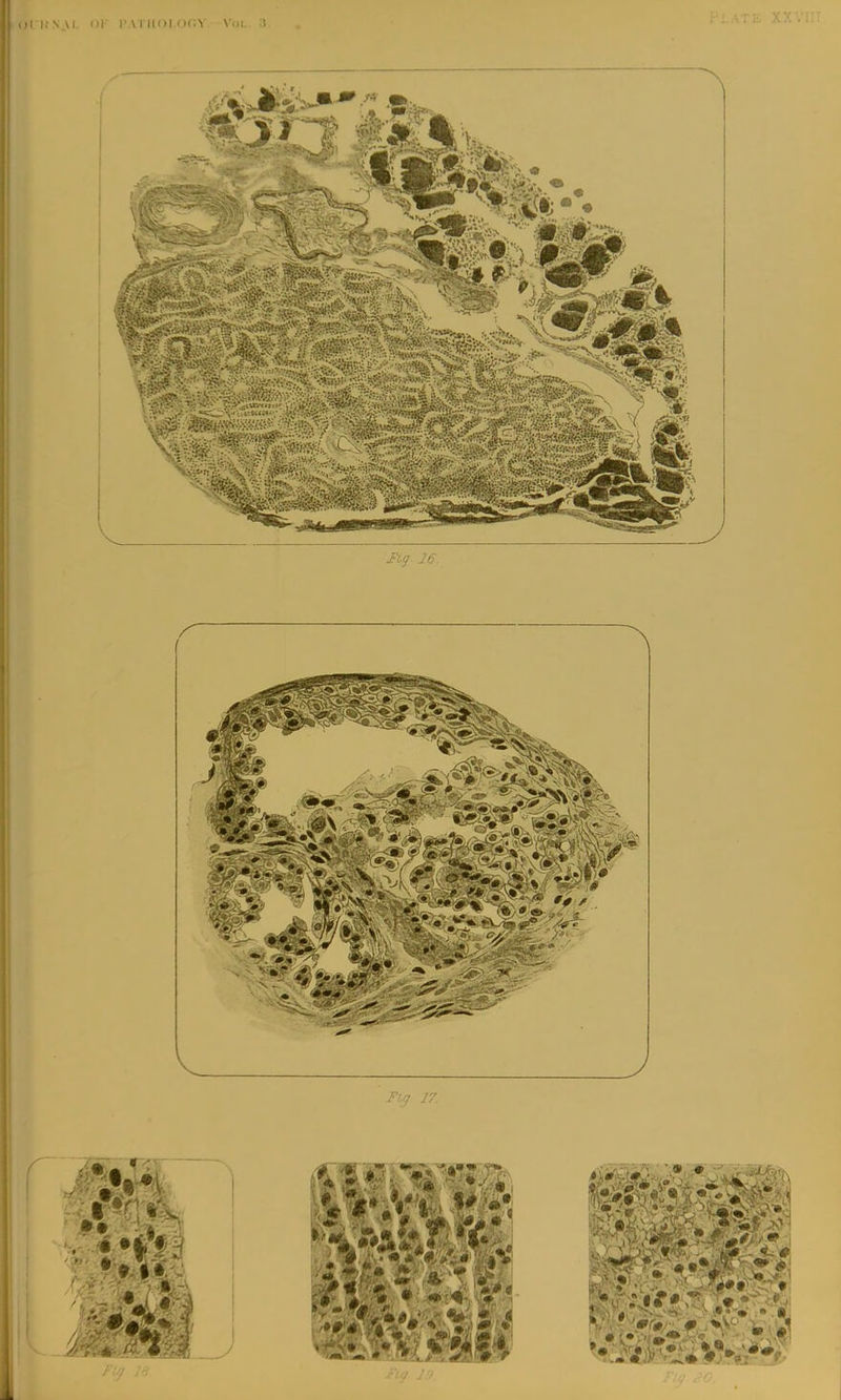 ()l I) N \l, or I’AI IIOI (H;V \oi. :l X X . ‘ ' Iig. 16.