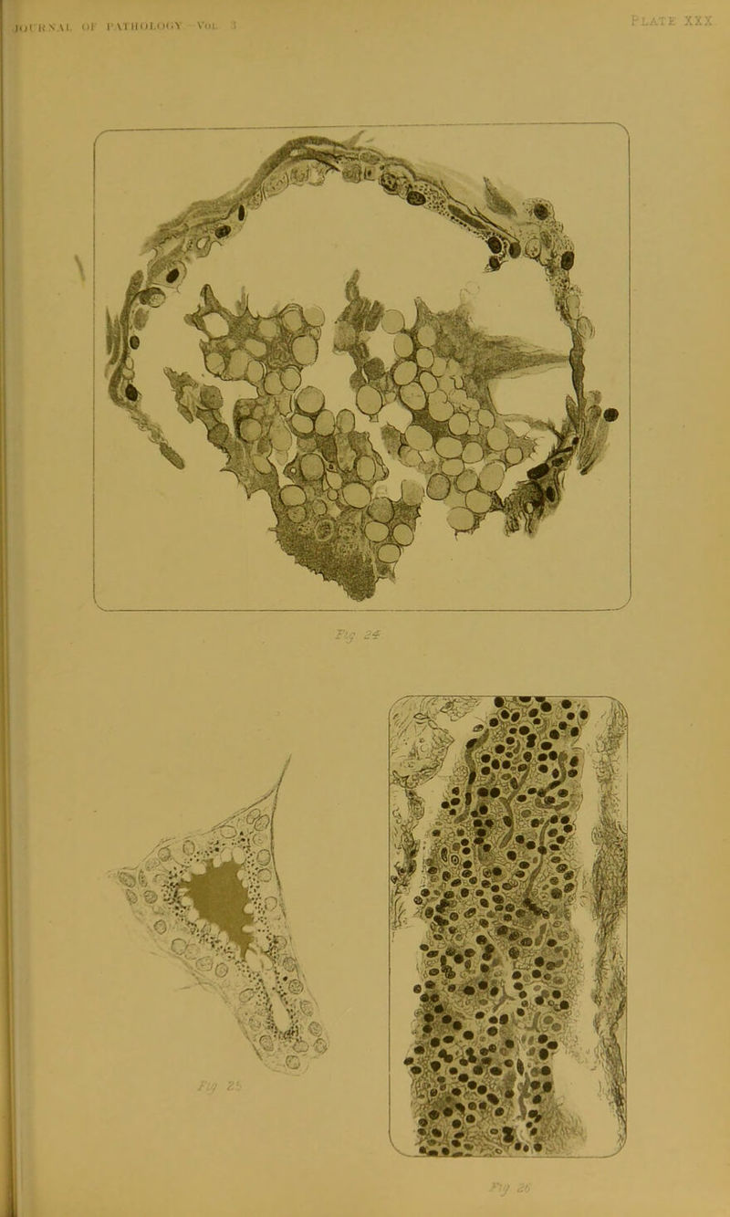 lOI KN Al. nr !• U lIOI.lXiY Voi. .!