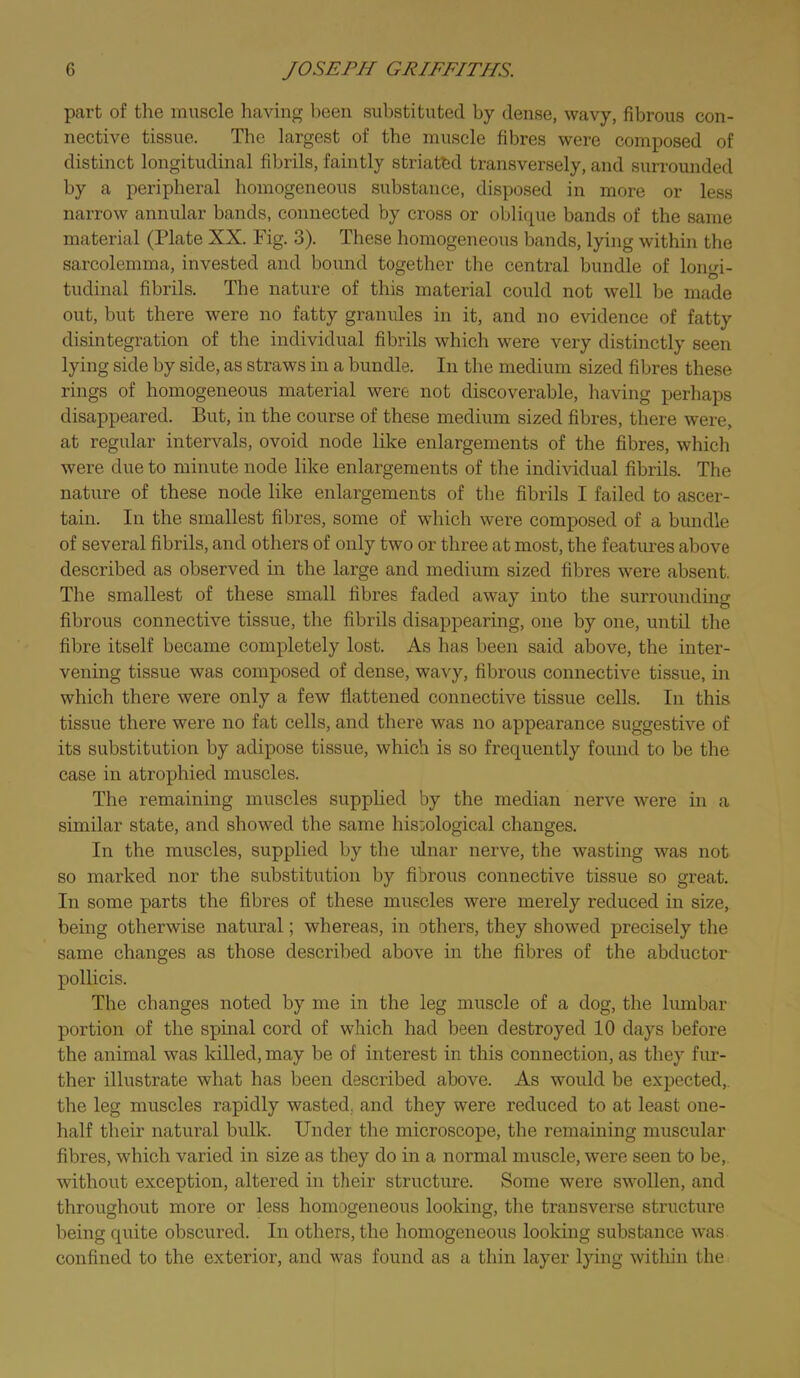 part of the muscle having been substituted by dense, wavy, fibrous con- nective tissue. The largest of the muscle fibres were composed of distinct longitudinal fibrils, faintly striatbd transversely, and surrounded by a peripheral homogeneous substance, disposed in more or less narrow annular bands, connected by cross or oblique bands of the same material (Plate XX. Fig. 3). These homogeneous bands, lying within the sarcolemma, invested and bound together tlie central bundle of longi- tudinal fibrils. The nature of this material could not well be made out, but there were no fatty granules in it, and no evidence of fatty disintegration of the individual fibrils which were very distinctly seen lying side by side, as straws in a bundle. In the medium sized fibres these rings of homogeneous material were not discoverable, having perhaps disappeared. But, in the course of these medium sized fibres, there were, at regular intervals, ovoid node like enlargements of the fibres, which were due to minute node like enlargements of the individual fibrils. The nature of these node like enlargements of the fibrils I failed to ascer- tain. In the smallest fibres, some of which were composed of a bundle of several fibrils, and others of only two or three at most, the features above described as observed in the large and medium sized fibres were absent. The smallest of these small fibres faded away into the surroimding fibrous connective tissue, the fibrils disappearing, one by one, until the fibre itself became completely lost. As has been said above, the inter- vening tissue was composed of dense, wavy, fibrous connective tissue, in which there were only a few flattened connective tissue cells. In this tissue there were no fat cells, and there was no appearance suggestive of its substitution by adipose tissue, which is so frequently found to be the case in atrophied muscles. The remaining muscles supphed by the median nerve were in a similar state, and showed the same histological changes. In the muscles, supplied by the ulnar nerve, the wasting was not so marked nor the substitution by fibrous connective tissue so great. In some parts the fibres of these muscles were merely reduced in size, being otherwise natural; whereas, in others, they showed precisely the same changes as those described above in the fibres of the abductor pollicis. The changes noted by me in the leg muscle of a dog, the lumbar portion of the spinal cord of which had been destroyed 10 days before the animal was killed, may be of interest in this connection, as they fiu’- ther illustrate what has been described above. As would be expected,, the leg muscles rapidly wasted, and they were reduced to at least one- half their natural bulk. Under the microscope, the remaining muscular fibres, which varied in size as they do in a normal muscle, were seen to be, without exception, altered in their structure. Some were swollen, and throughout more or less homogeneous looking, the transvei’se structure being quite obscured. In others, the homogeneous looking substance was confined to the exterior, and was found as a thin layer lying within the