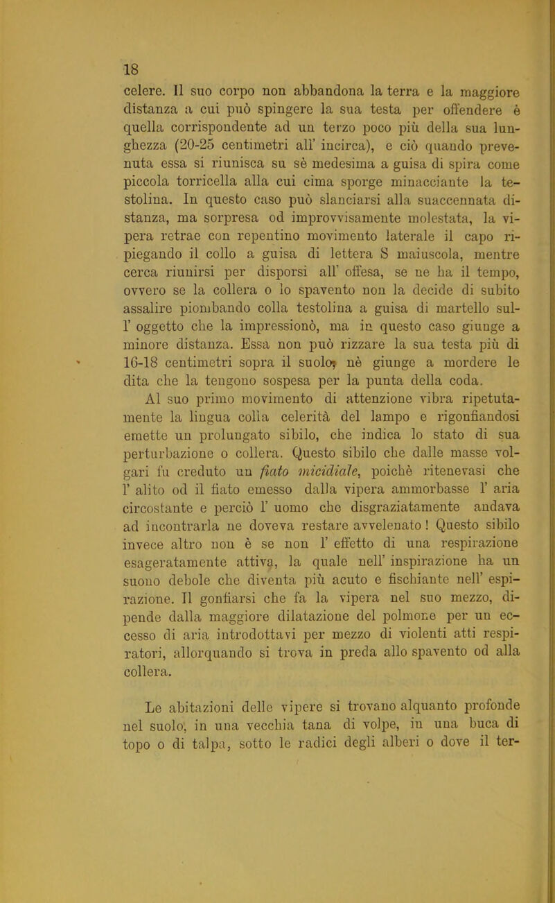 celere. Il suo corpo non abbandona la terra e la maggiore distanza a cui può spingere la sua testa per offendere è quella corrispondente ad un terzo poco più della sua lun- ghezza (20-25 centimetri all’ incirca), e ciò quando preve- nuta essa si riunisca su sè medesima a guisa di spira come piccola torricella alla cui cima sporge minacciante la te- stolina. In questo caso può slanciarsi alla suaccennata di- stanza, ma sorpresa od improvvisamente molestata, la vi- pera retrae con repentino movimento laterale il capo ri- piegando il collo a guisa di lettera S maiuscola, mentre cerca riunirsi per disporsi all' offesa, se ne ba il tempo, ovvero se la collera o lo spavento non la decide di subito assalire piombando colla testolina a guisa di martello sul- 1’ oggetto che la impressionò, ma in questo caso giunge a minore distanza. Essa non può rizzare la sua testa più di 16-18 centimetri sopra il suolo; nè giunge a mordere le dita che la tengono sospesa per la punta della coda. Al suo primo movimento di attenzione vibra ripetuta- mente la lingua colla celerità del lampo e rigonfiandosi emette un prolungato sibilo, che indica lo stato di sua perturbazione o collera. Questo sibilo che dalle masse vol- gari fu creduto un fiato micidiale, poiché ritenevasi che 1’ alito od il fiato emesso dalla vipera ammorbasse 1’ aria circostante e perciò 1’ uomo che disgraziatamente andava ad incontrarla ne doveva restare avvelenato ! Questo sibilo invece altro non è se non 1’ effetto di una respirazione esageratamente attiva, la quale nell’ inspirazione ha un suono debole che diventa più acuto e fischiante nell’ espi- razione. Il gonfiarsi che fa la vipera nel suo mezzo, di- pende dalla maggiore dilatazione del polmone per un ec- cesso di aria introdottavi per mezzo di violenti atti respi- ratori, allorquando si trova in preda allo spavento od alla collera. Le abitazioni delle vipere si trovano alquanto profonde nel suolo, in una vecchia tana di volpe, in una buca di topo o di talpa, sotto le radici degli alberi o dove il ter-